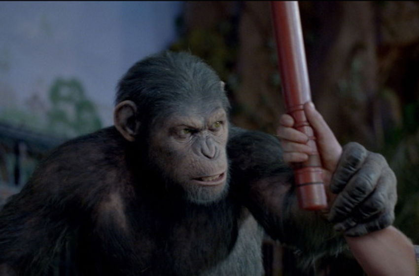 Planet der Affen - PRevolution - Szenenbild 23 von 32