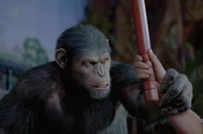 Planet der Affen - PRevolution - Szenenbild 31 von 32