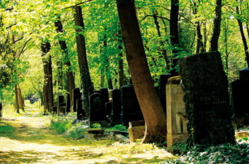Im Himmel, unter der Erde - Der jüdische Friedhof Weißensee - Szenenbild 1 von 13