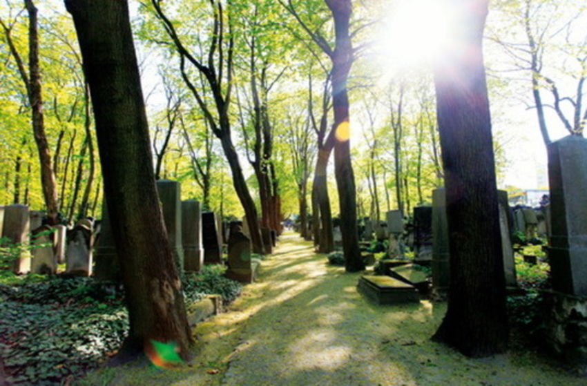Im Himmel, unter der Erde - Der jüdische Friedhof Weißensee - Szenenbild 13 von 13