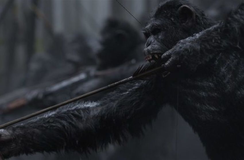 Planet der Affen - Survival - Szenenbild 6 von 10