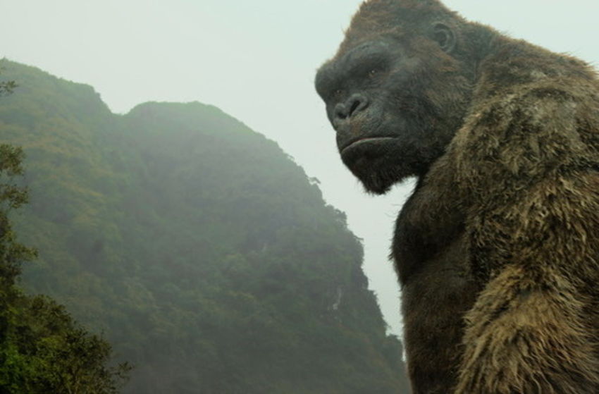 Kong: Skull Island - Szenenbild 3 von 4