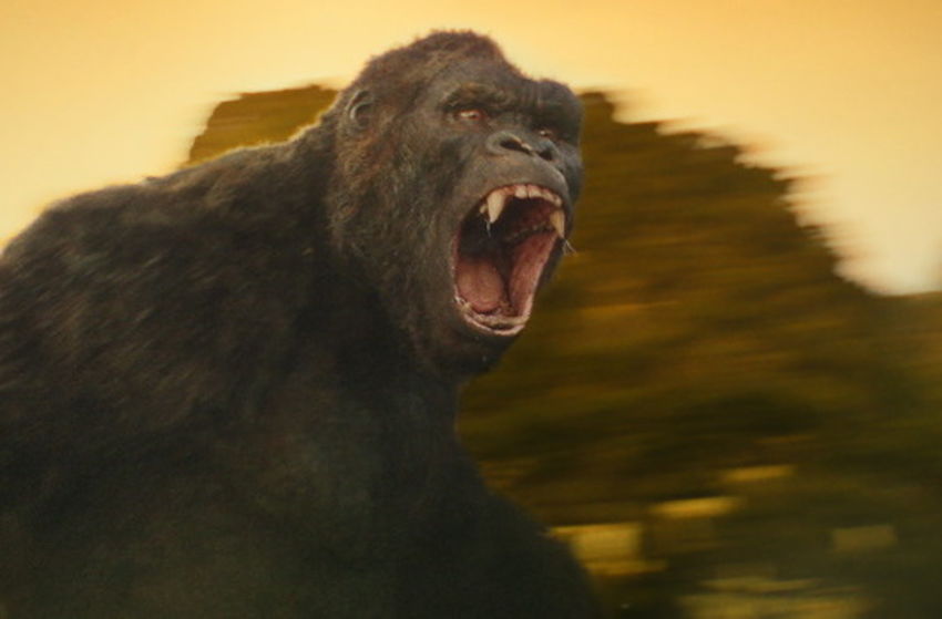 Kong: Skull Island - Szenenbild 4 von 4