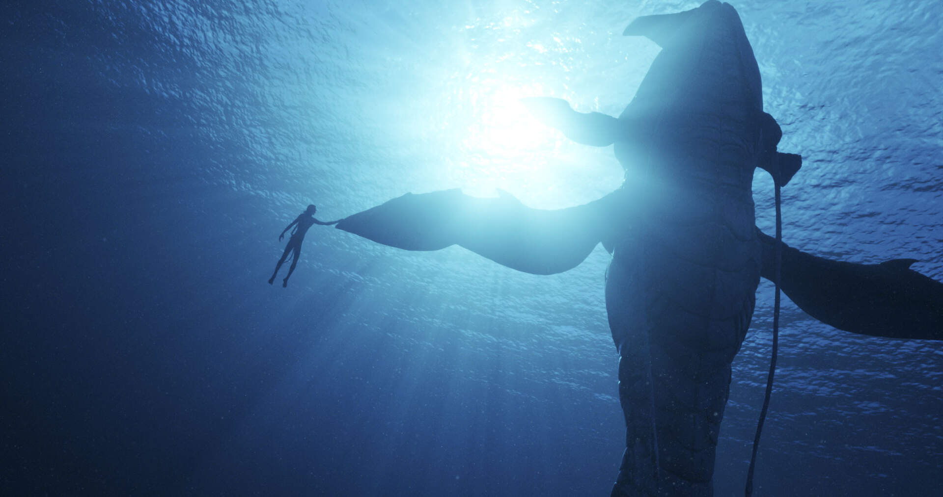 Avatar: The Way of Water - Szenenbild 6 von 15