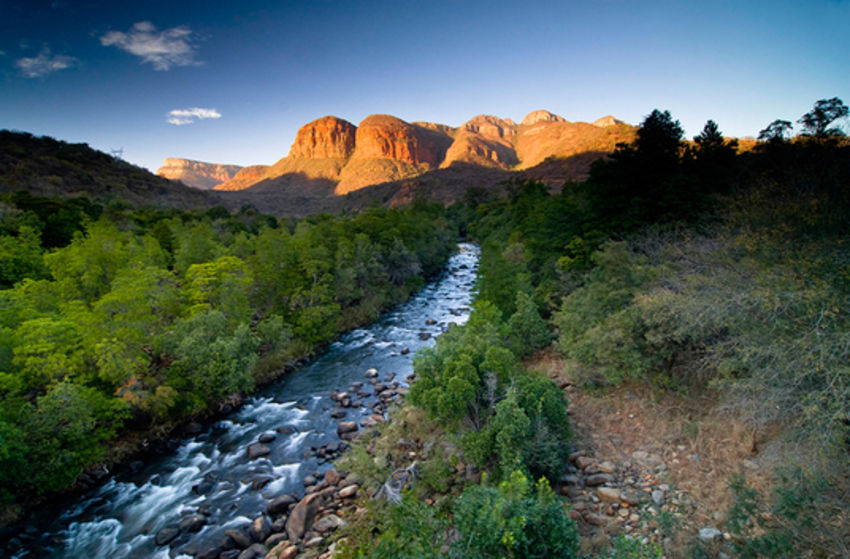 Südafrika (Live-Reportage) - Szenenbild 3 von 5