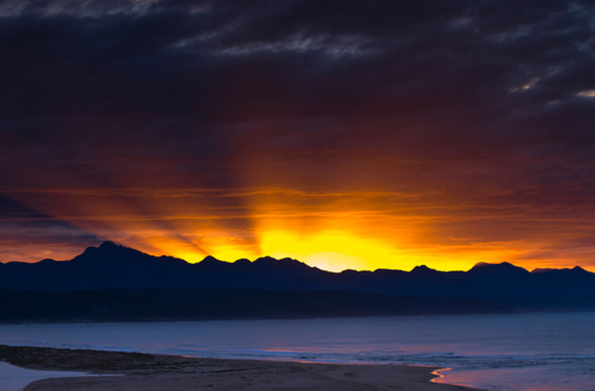 Südafrika (Live-Reportage) - Szenenbild 5 von 5
