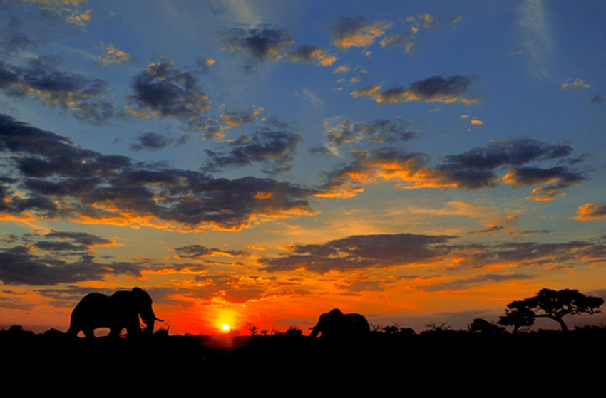 Namibia (Live-Reportage) - Szenenbild 1 von 5
