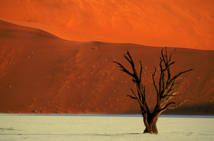 Namibia (Live-Reportage) - Szenenbild 2 von 5
