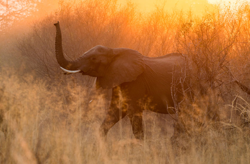 Namibia (Live-Reportage) - Szenenbild 5 von 5