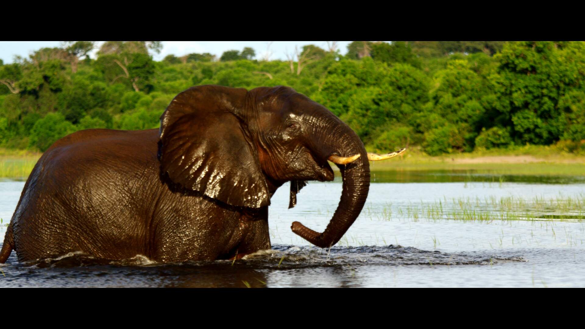 BOTSWANA - Afrikas letztes Tierparadies - Szenenbild 1 von 19