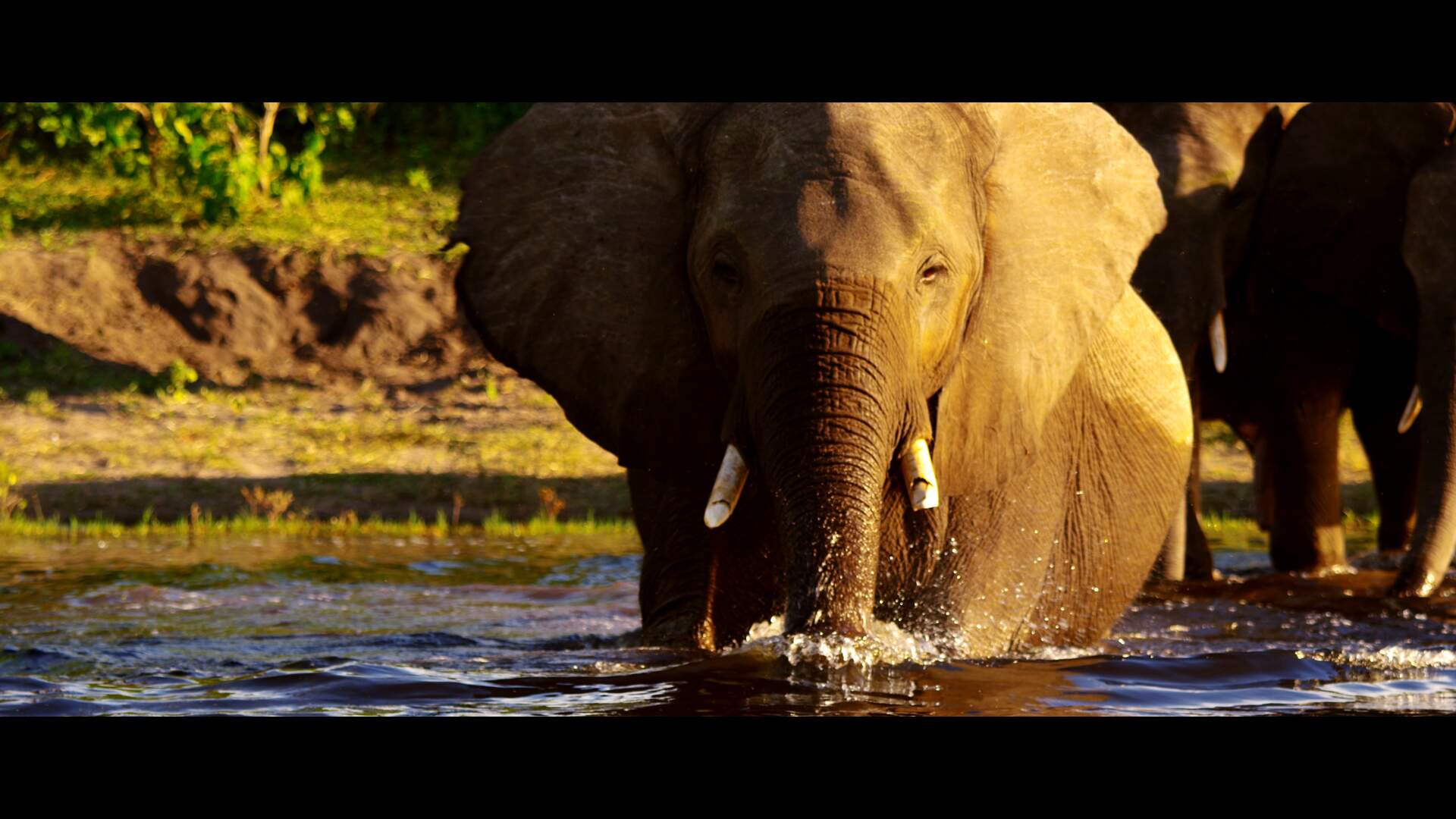 BOTSWANA - Afrikas letztes Tierparadies - Szenenbild 2 von 19