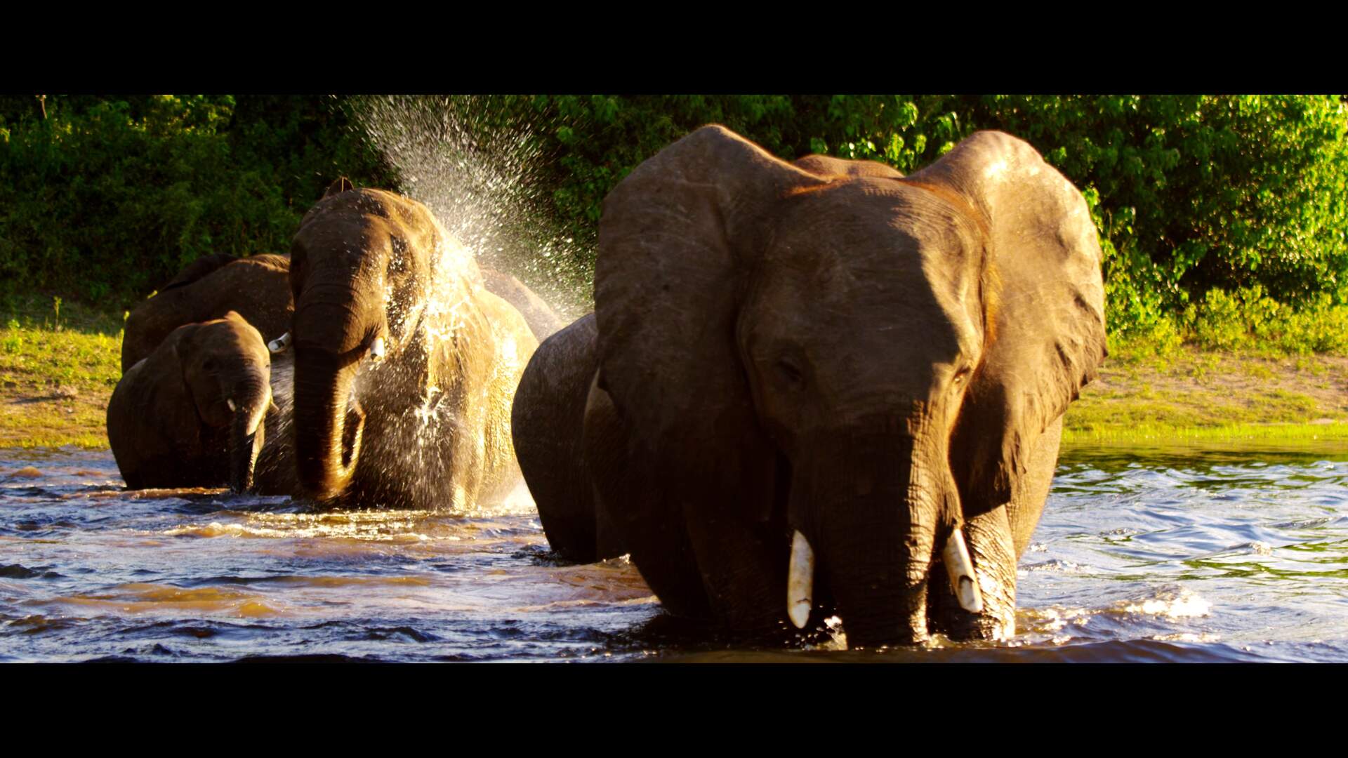 BOTSWANA - Afrikas letztes Tierparadies - Szenenbild 3 von 19
