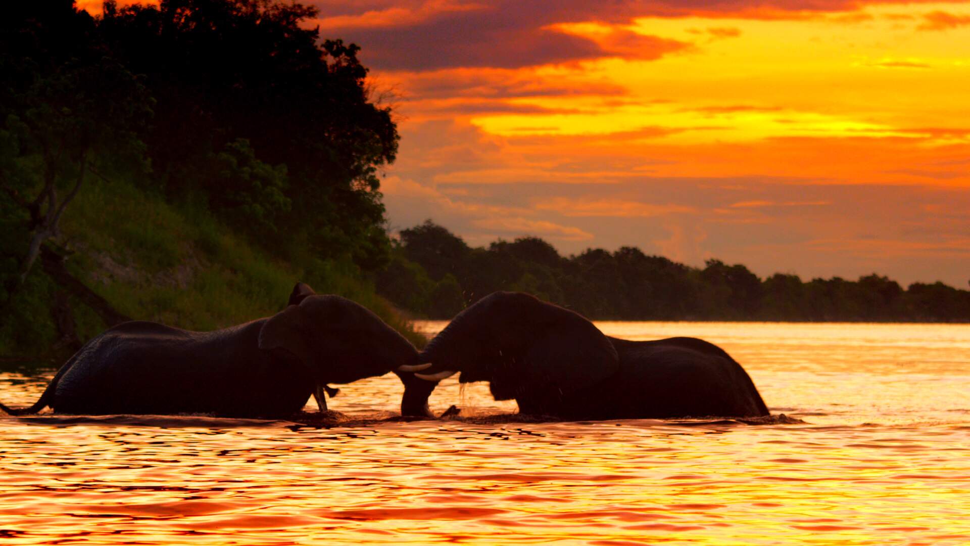 BOTSWANA - Afrikas letztes Tierparadies - Szenenbild 4 von 19