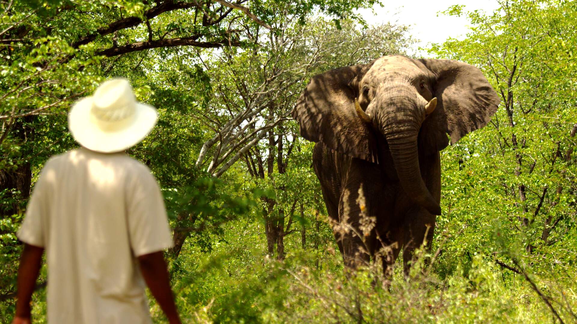 BOTSWANA - Afrikas letztes Tierparadies - Szenenbild 12 von 19