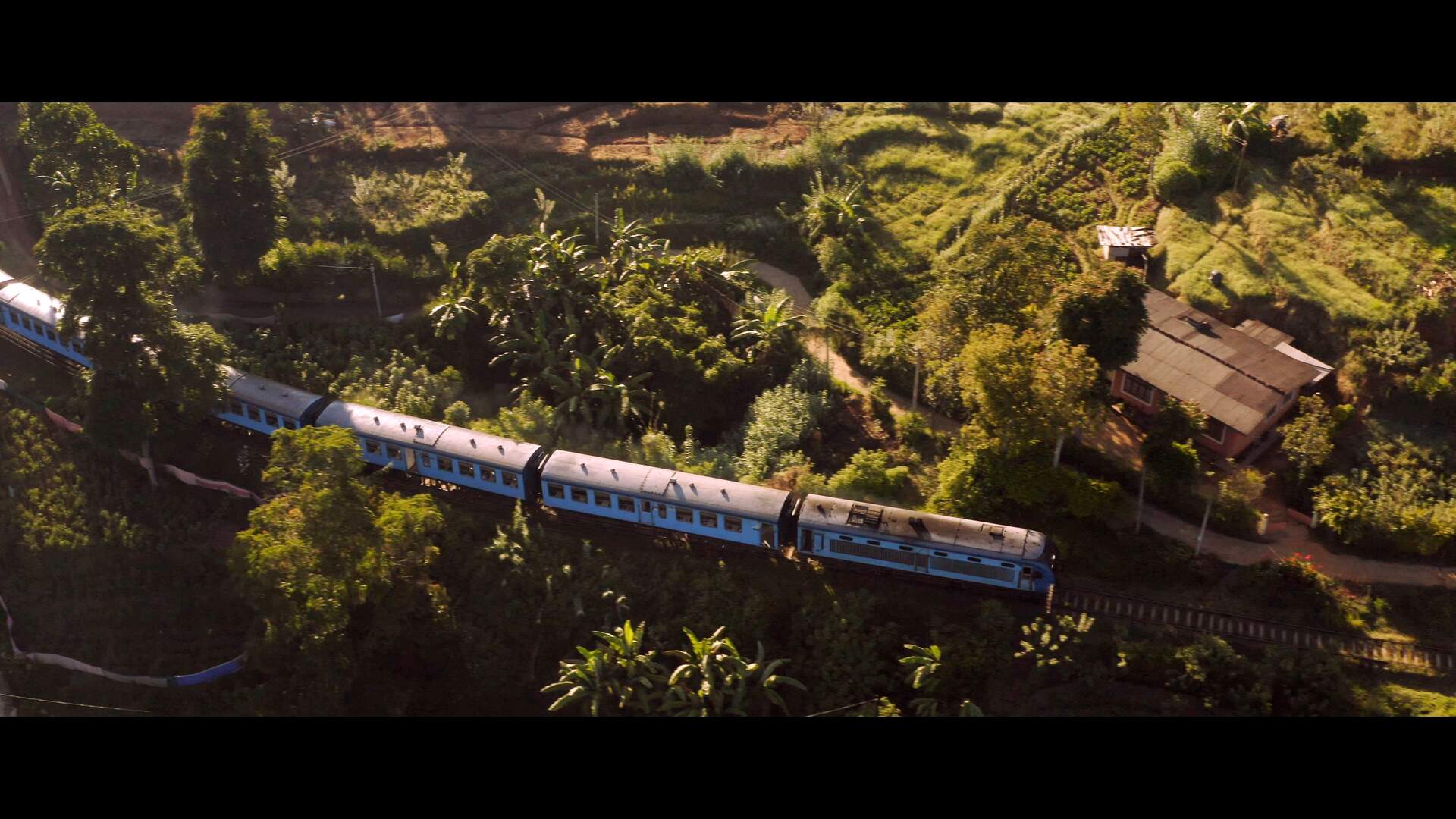 MITTENDRIN - Indien, Nepal, Sri Lanka - Szenenbild 11 von 15