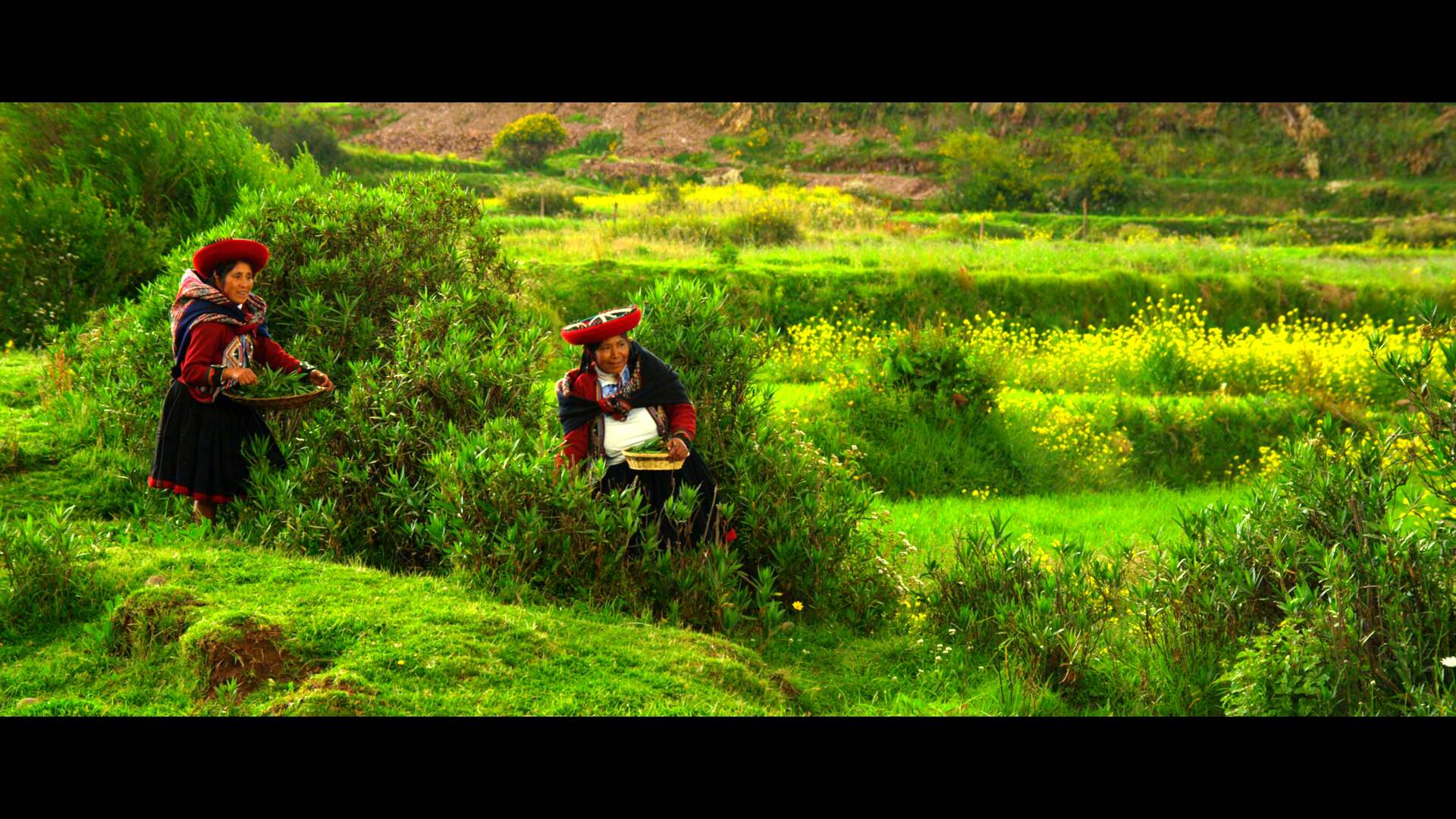 Traumreise durch Südamerika - von Equador bis Patagonien - Szenenbild 2 von 5