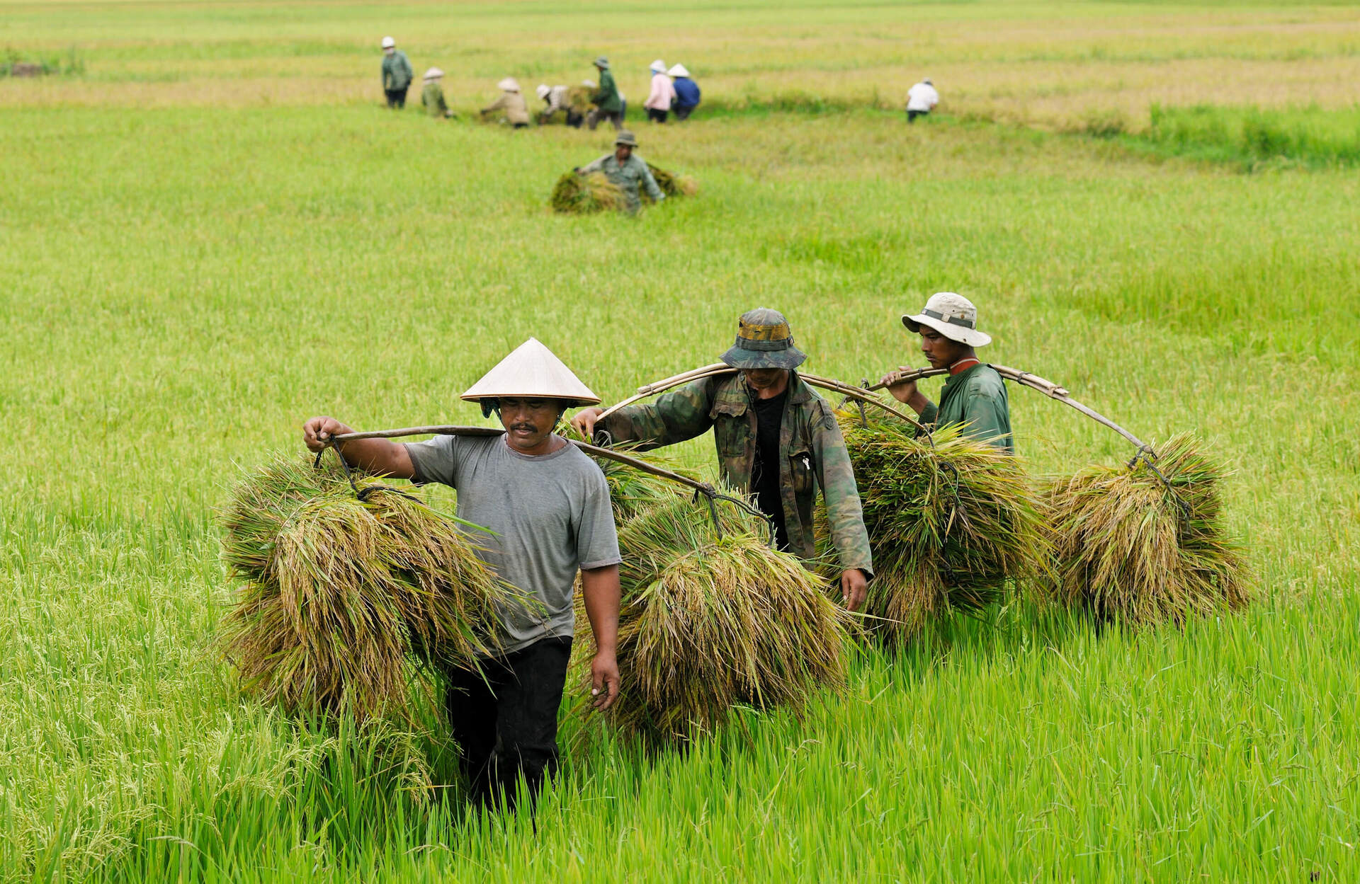 VIETNAM - Reise durch ein unentdecktes Land (Live Reportage) - Szenenbild 3 von 4