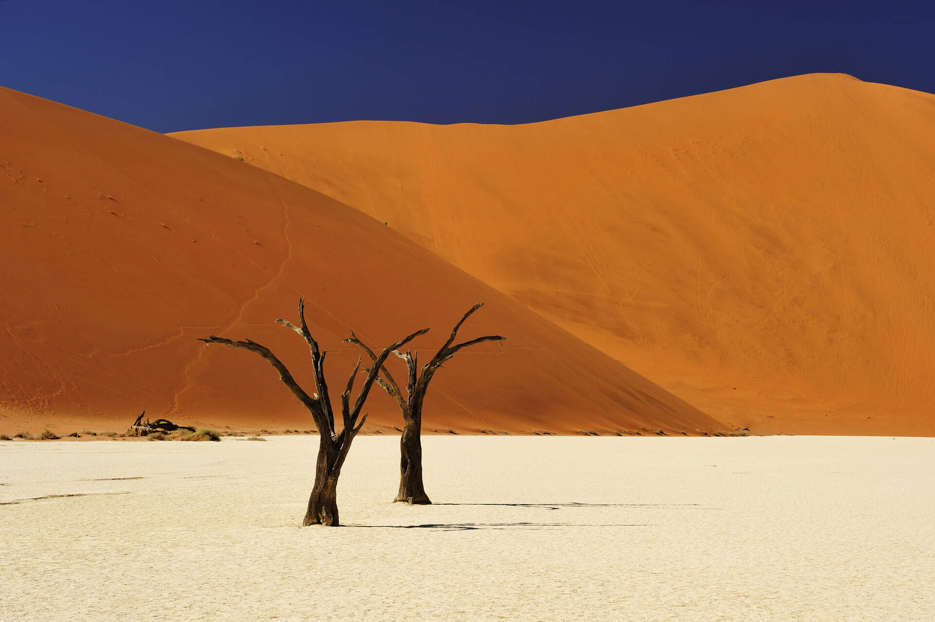 NAMIBIA + BOTSWANA - Von den Vikoriafällen zur Namibwüste (Live Reportage) - Szenenbild 1 von 5