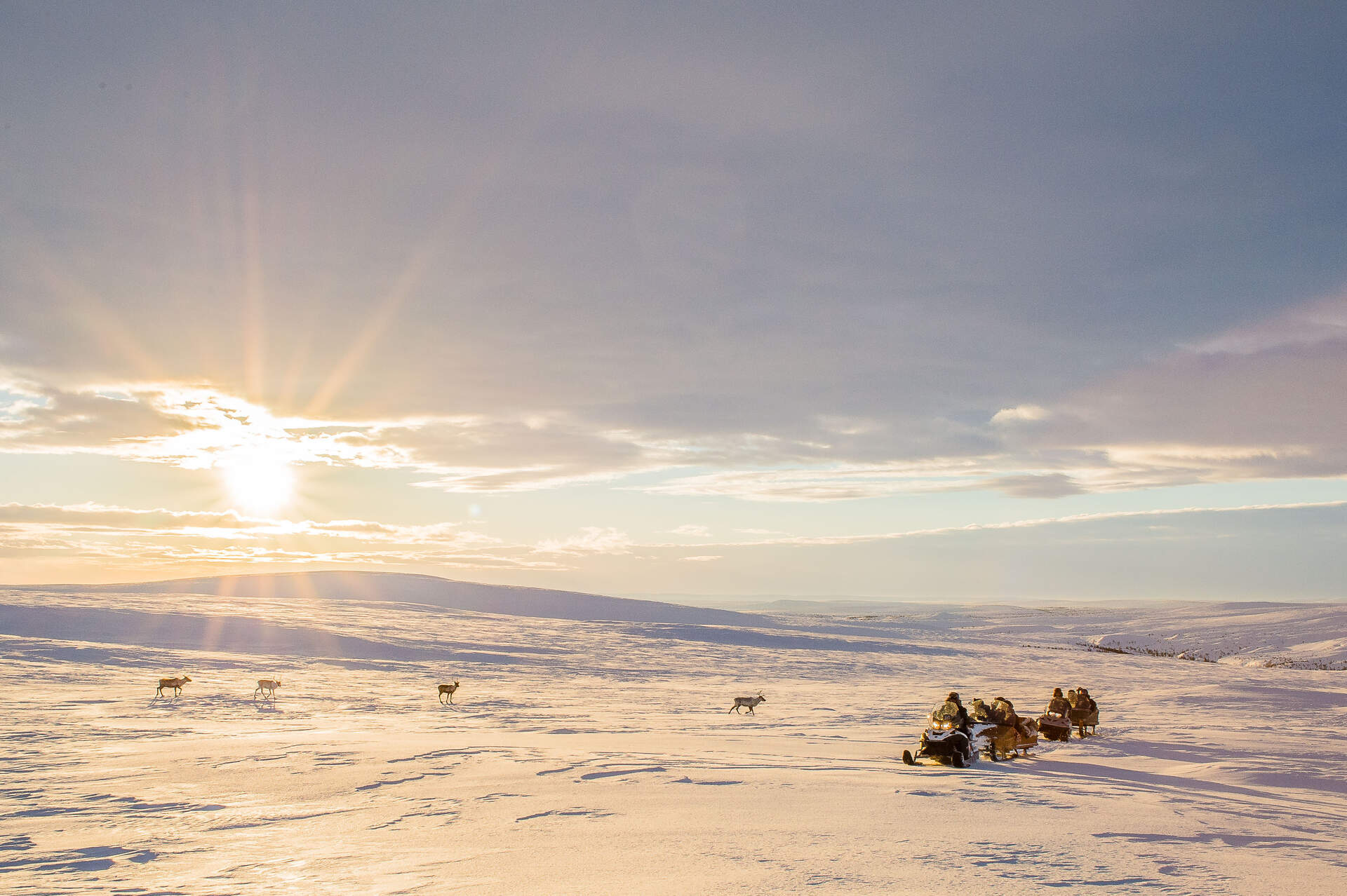 NORD-LICHT - Lappland hautnah (Live Reportage) - Szenenbild 3 von 5