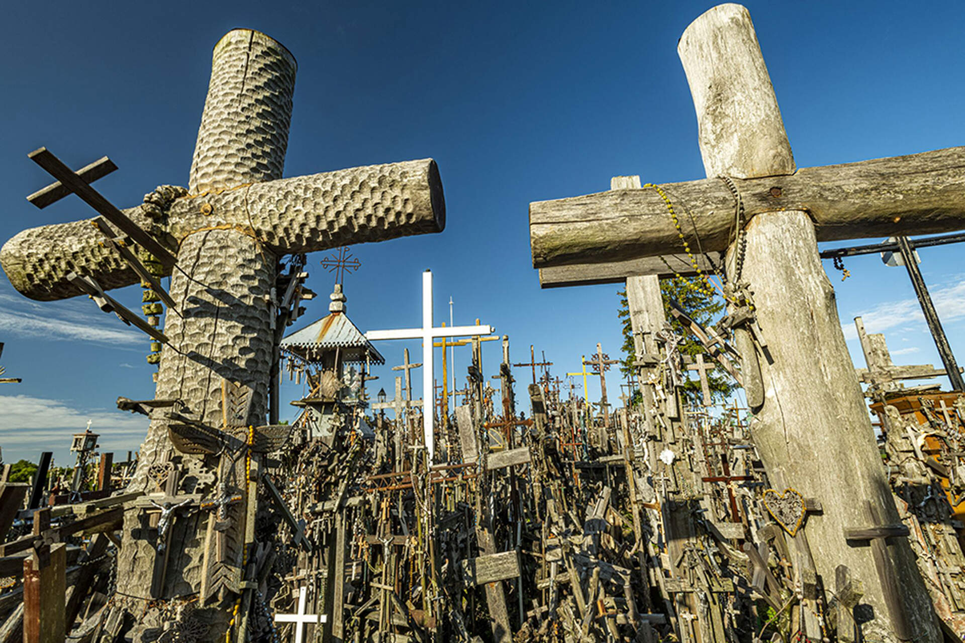 Baltikum (Live-Reportage) - Szenenbild 4 von 5