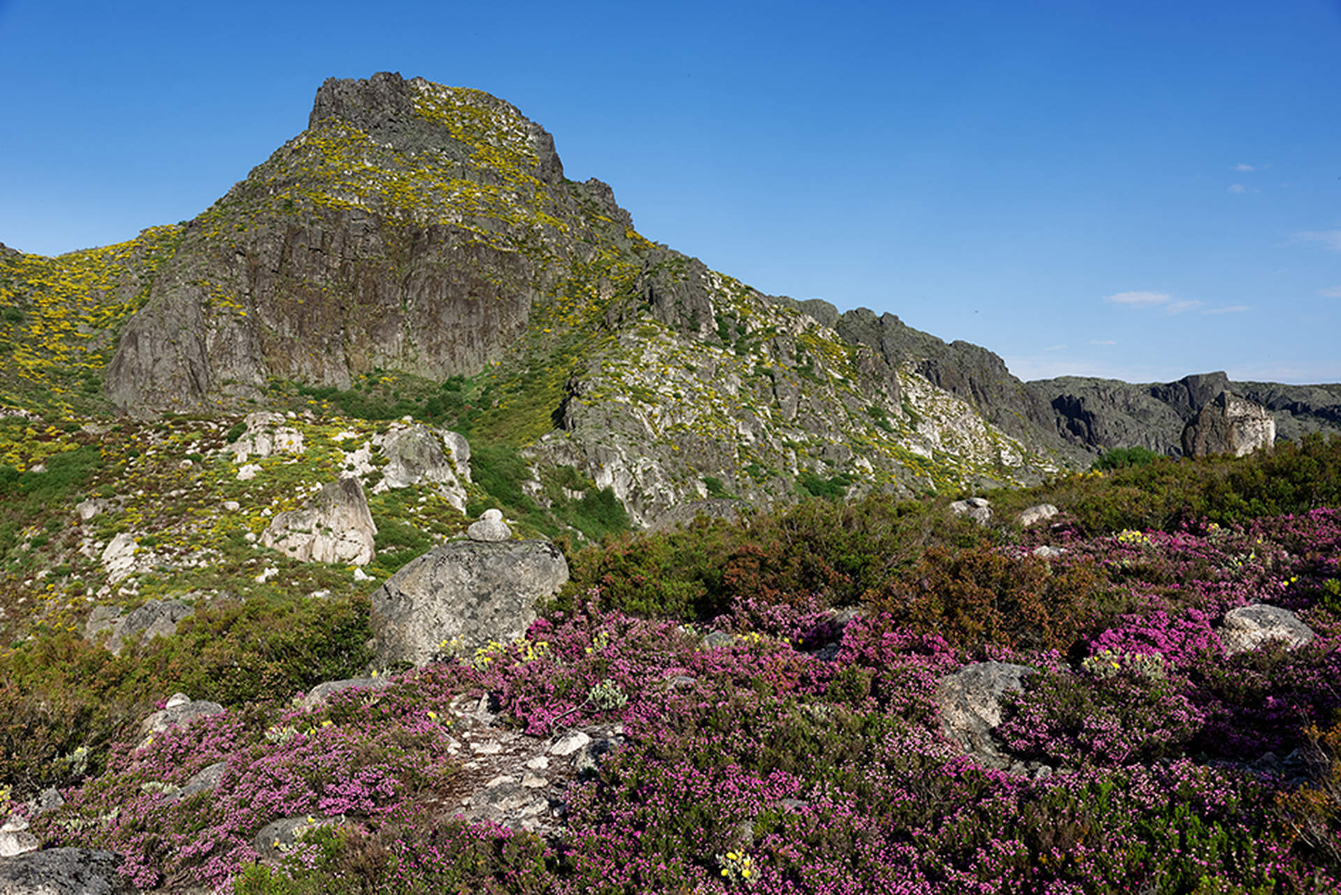 Portugal (Live-Reportage) - Szenenbild 5 von 5