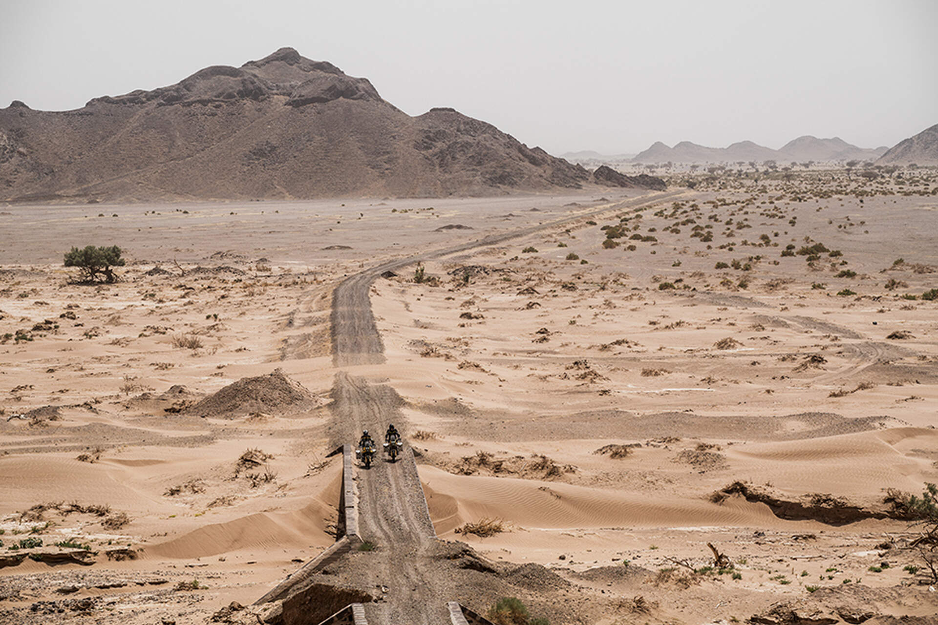 Saudi Arabien - Hinter dem Vorhang (Live-Reportage) - Szenenbild 5 von 5