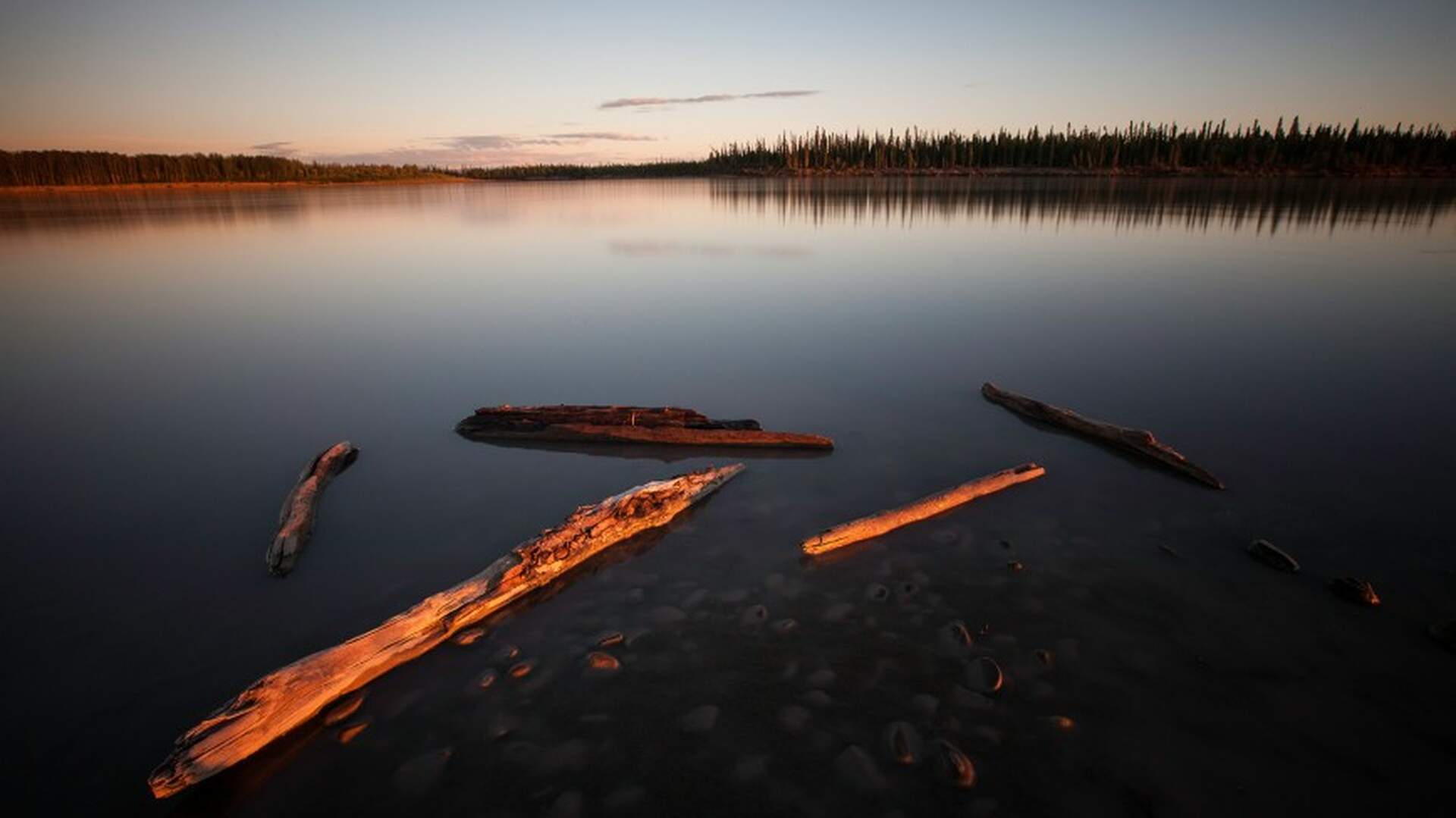 ALASKA - 3000 km Wildnis und Freiheit am Yukon - Szenenbild 12 von 14
