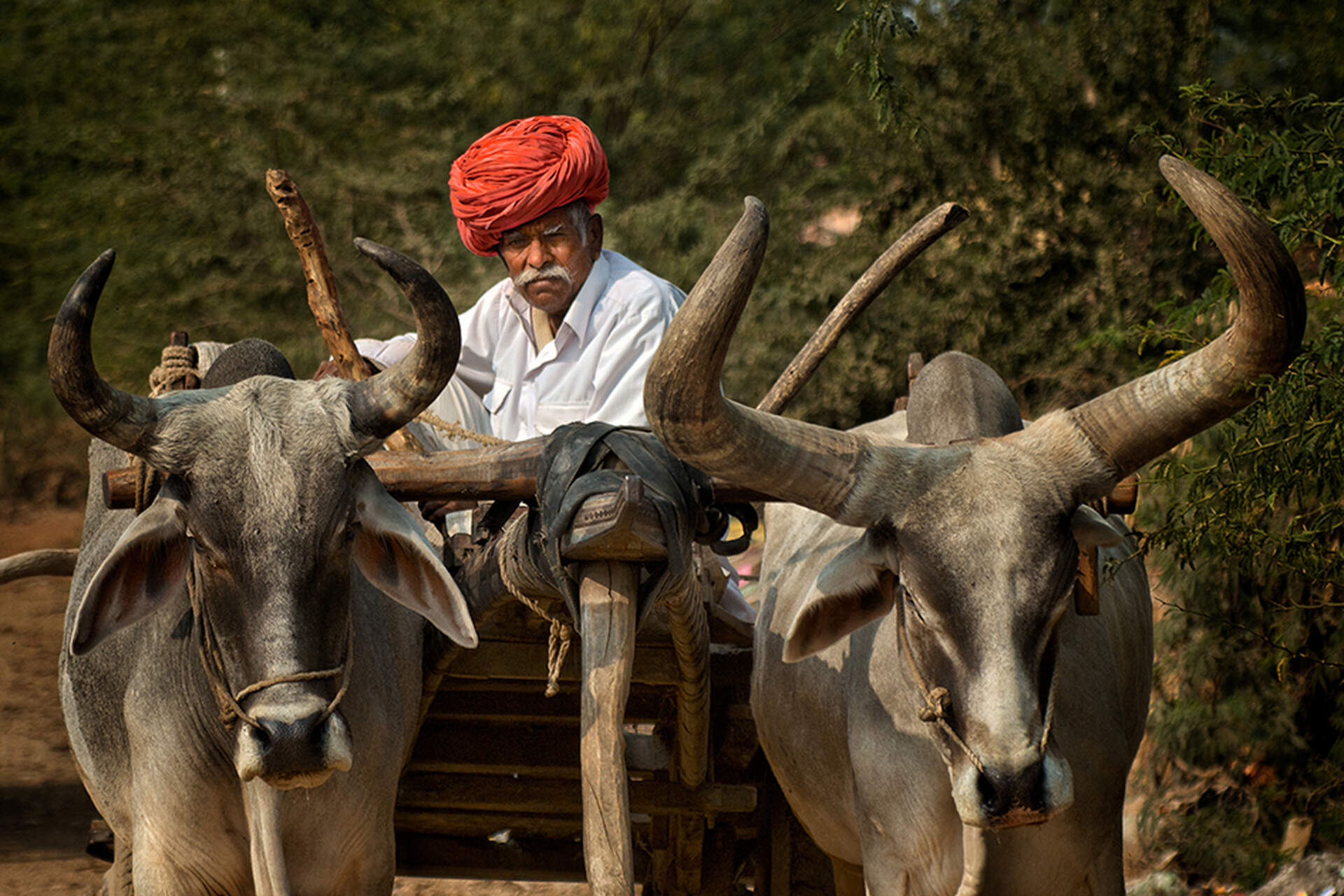 MAGISCHES INDIEN (Live Reportage) - Szenenbild 1 von 5