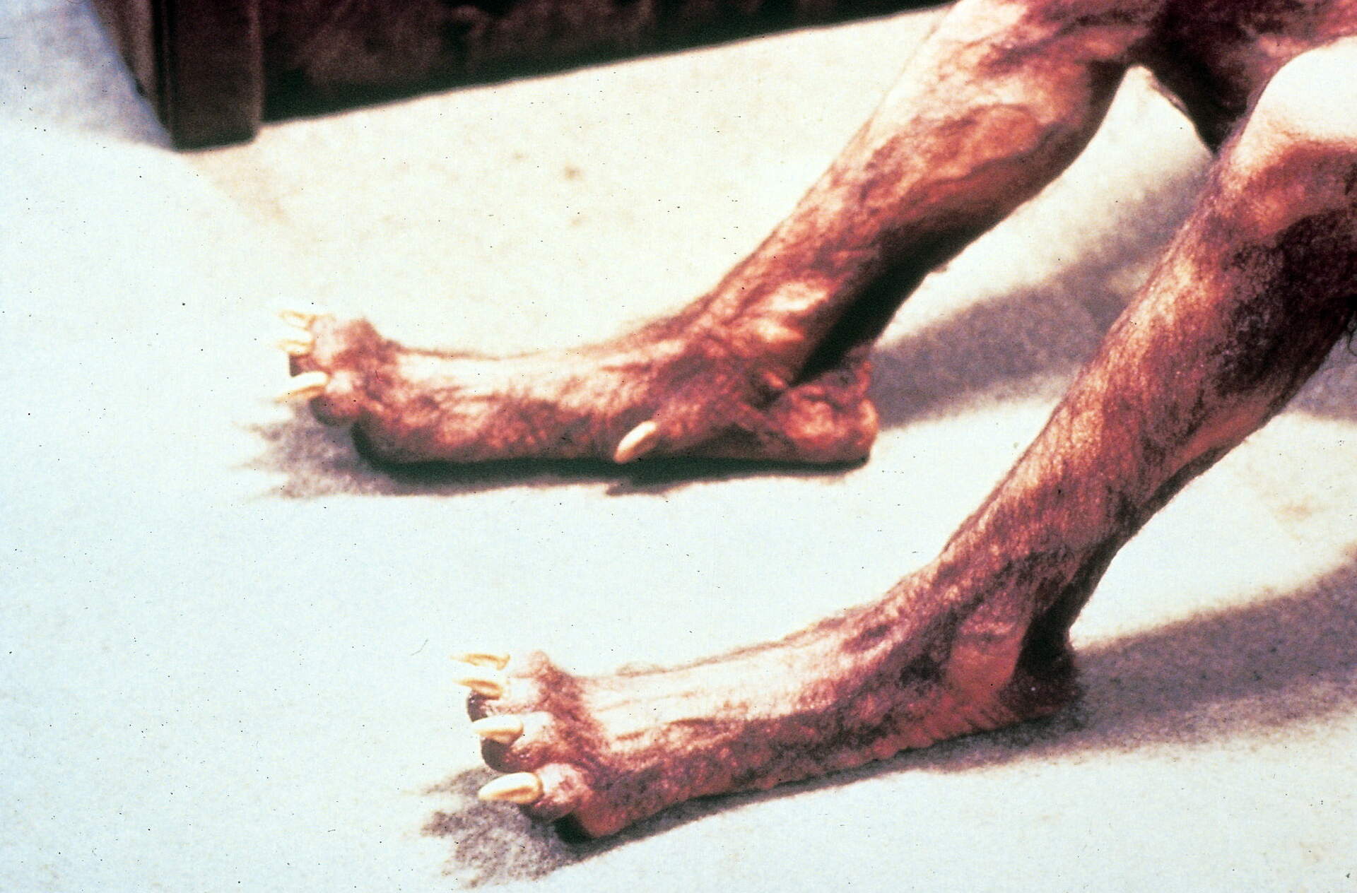 American Werewolf - Szenenbild 17 von 21