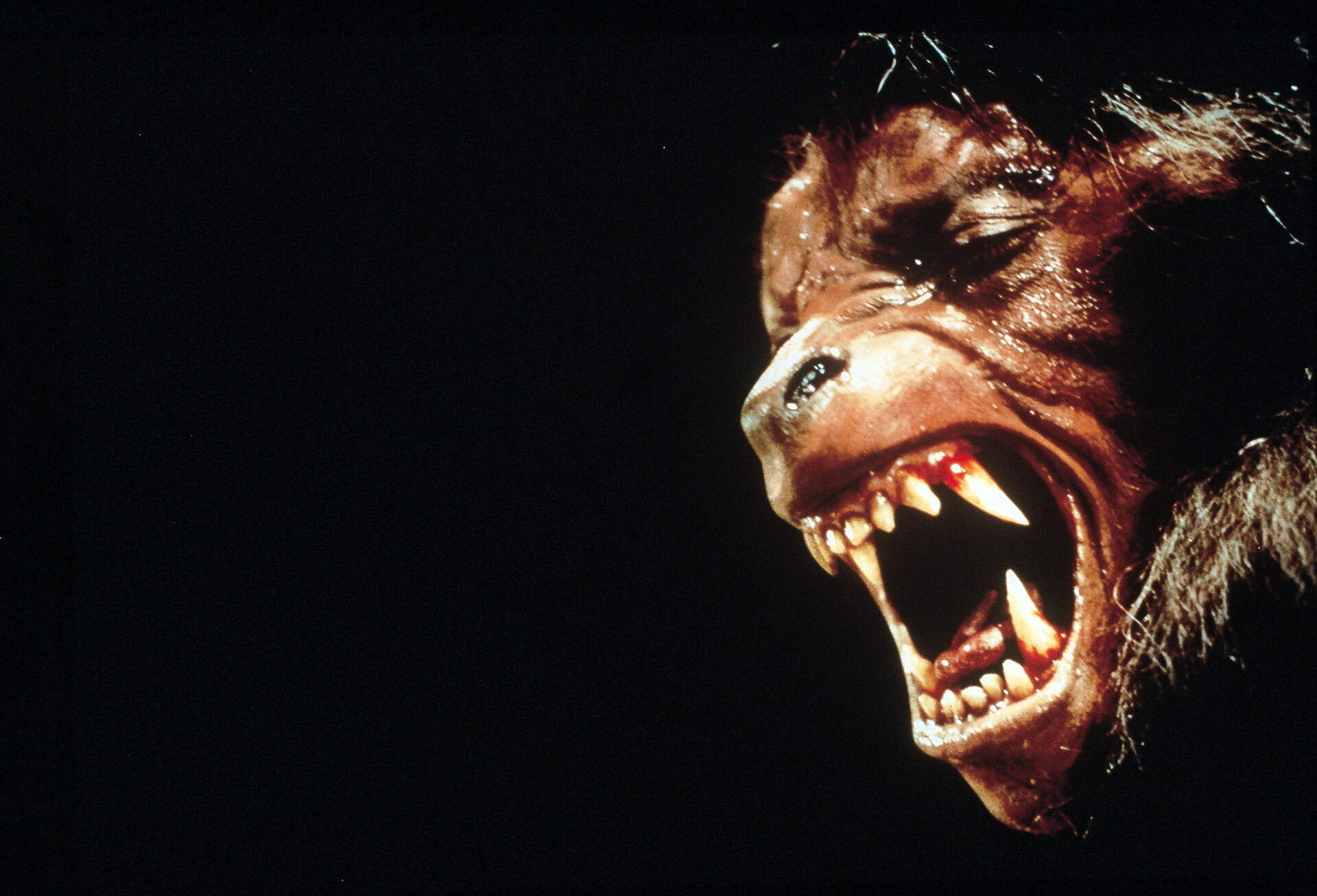 American Werewolf - Szenenbild 19 von 21