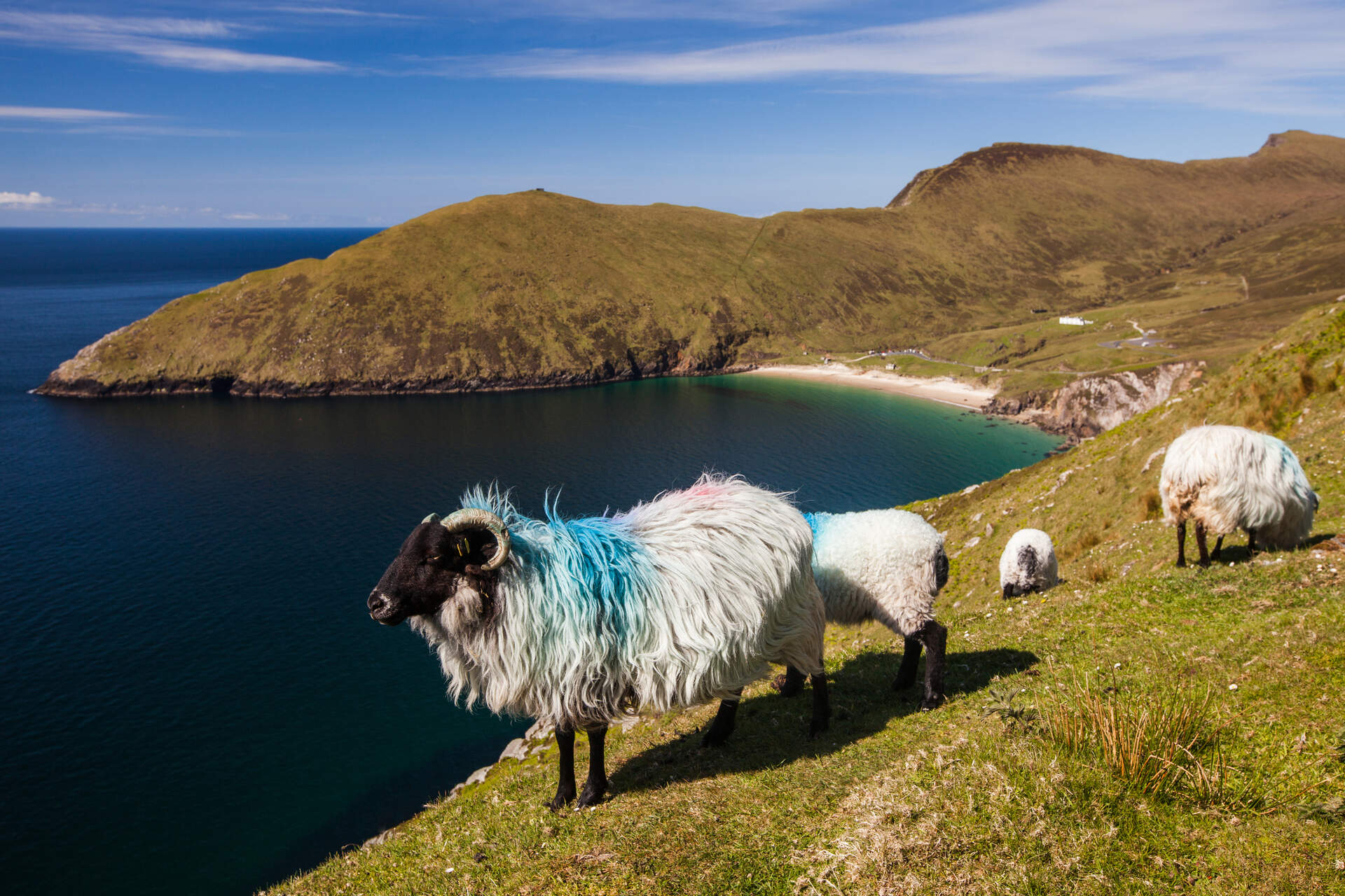 Irland - Wild Atlantic Ride - Szenenbild 1 von 11