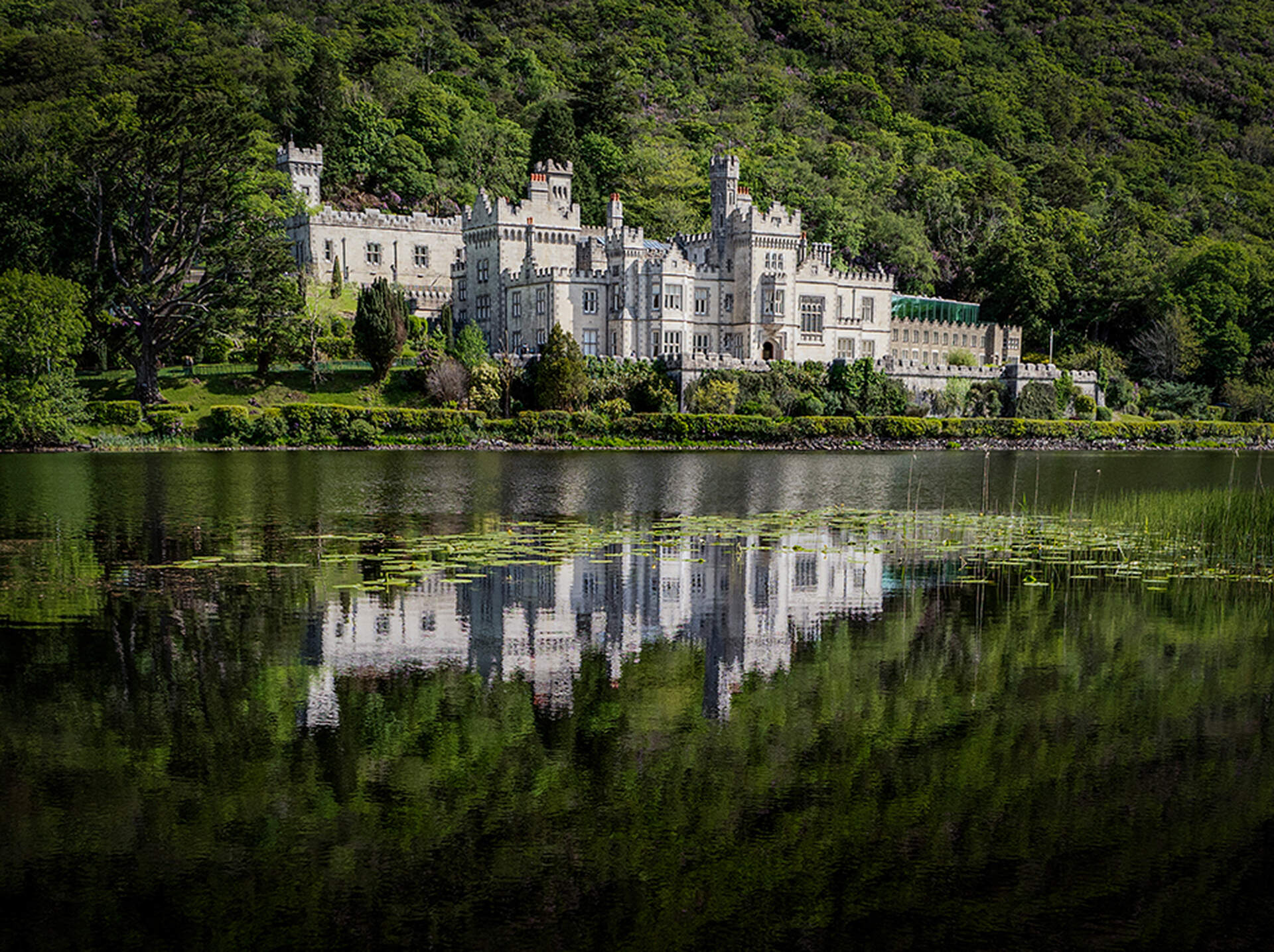 Irland (Live-Reportage) - Szenenbild 3 von 5