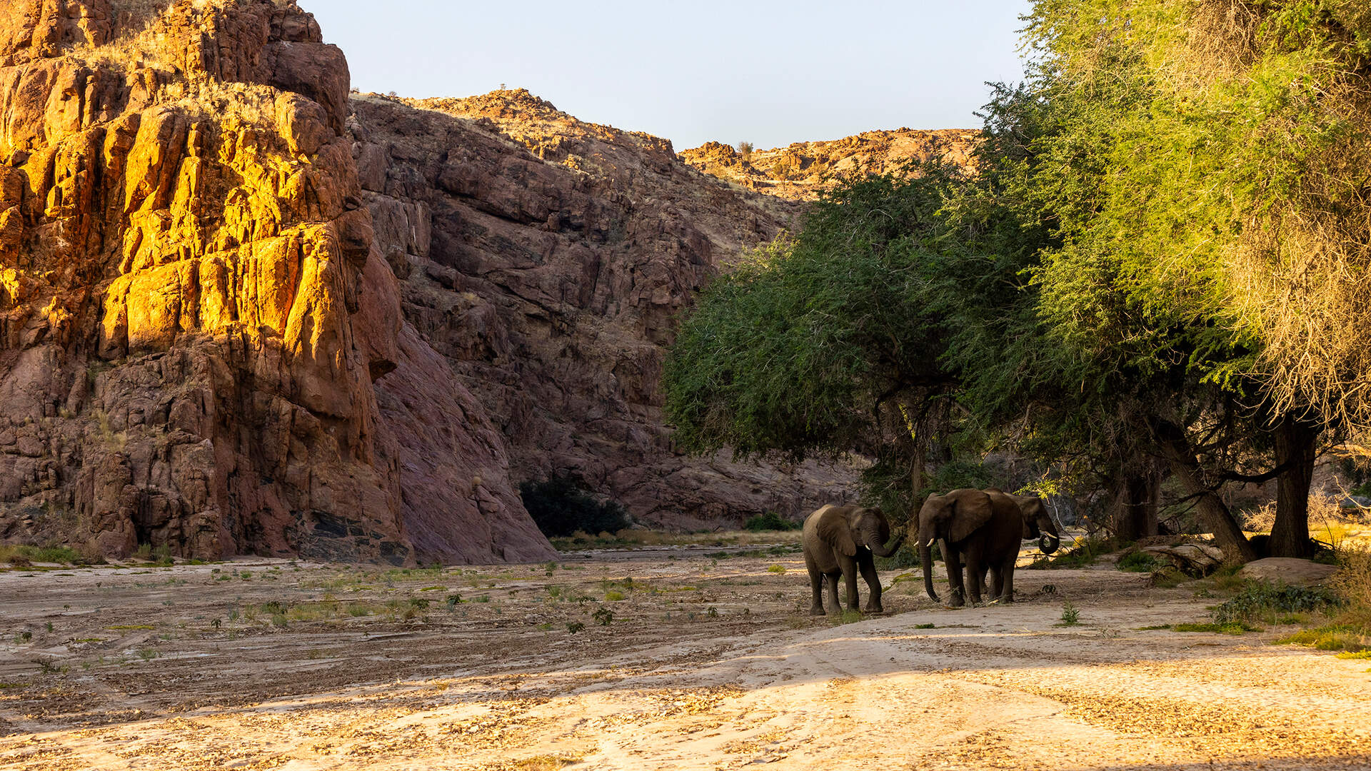 Namibia + Botswana (Live-Reportage) - Szenenbild 4 von 5