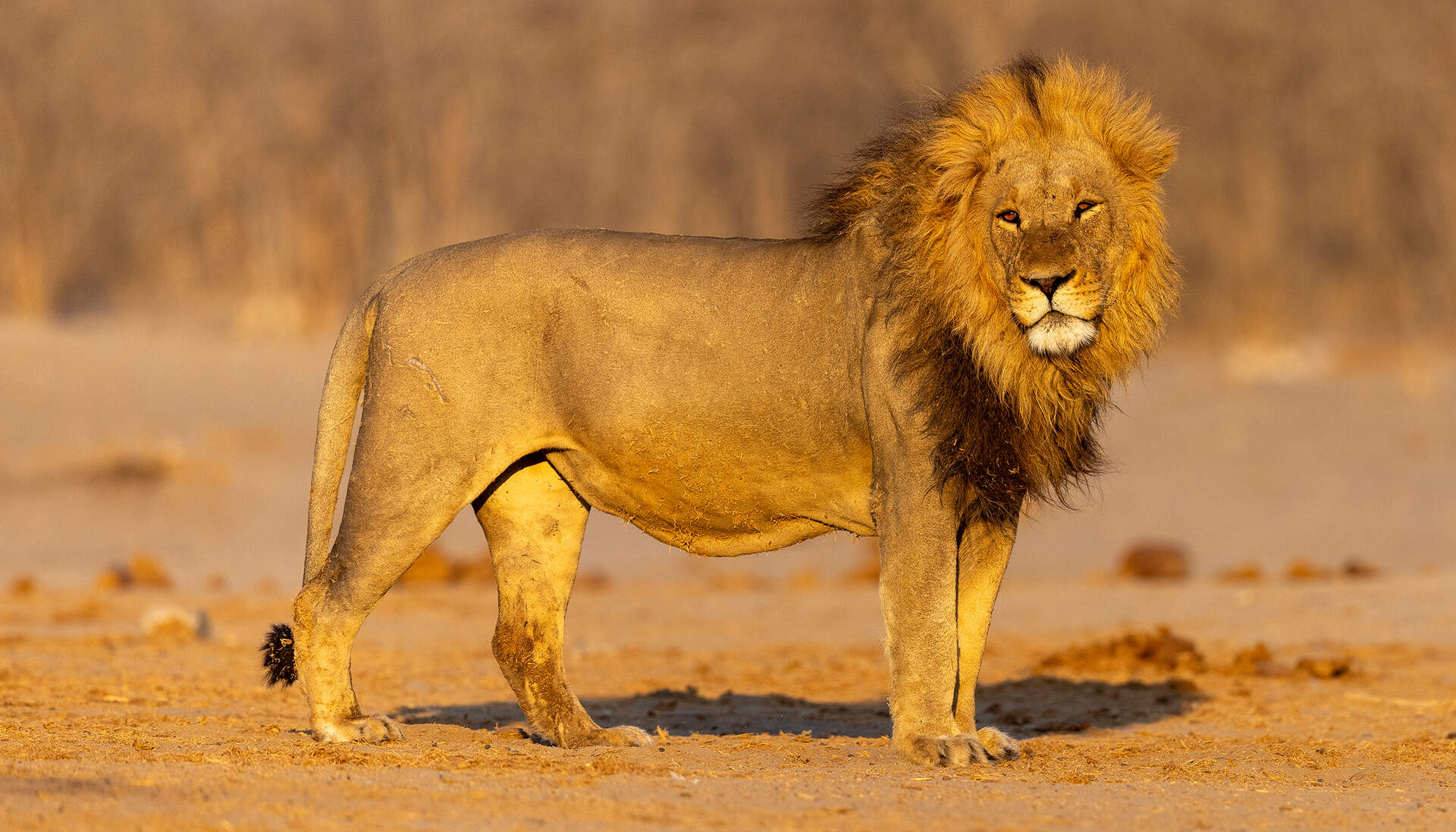 Namibia + Botswana (Live-Reportage) - Szenenbild 5 von 5