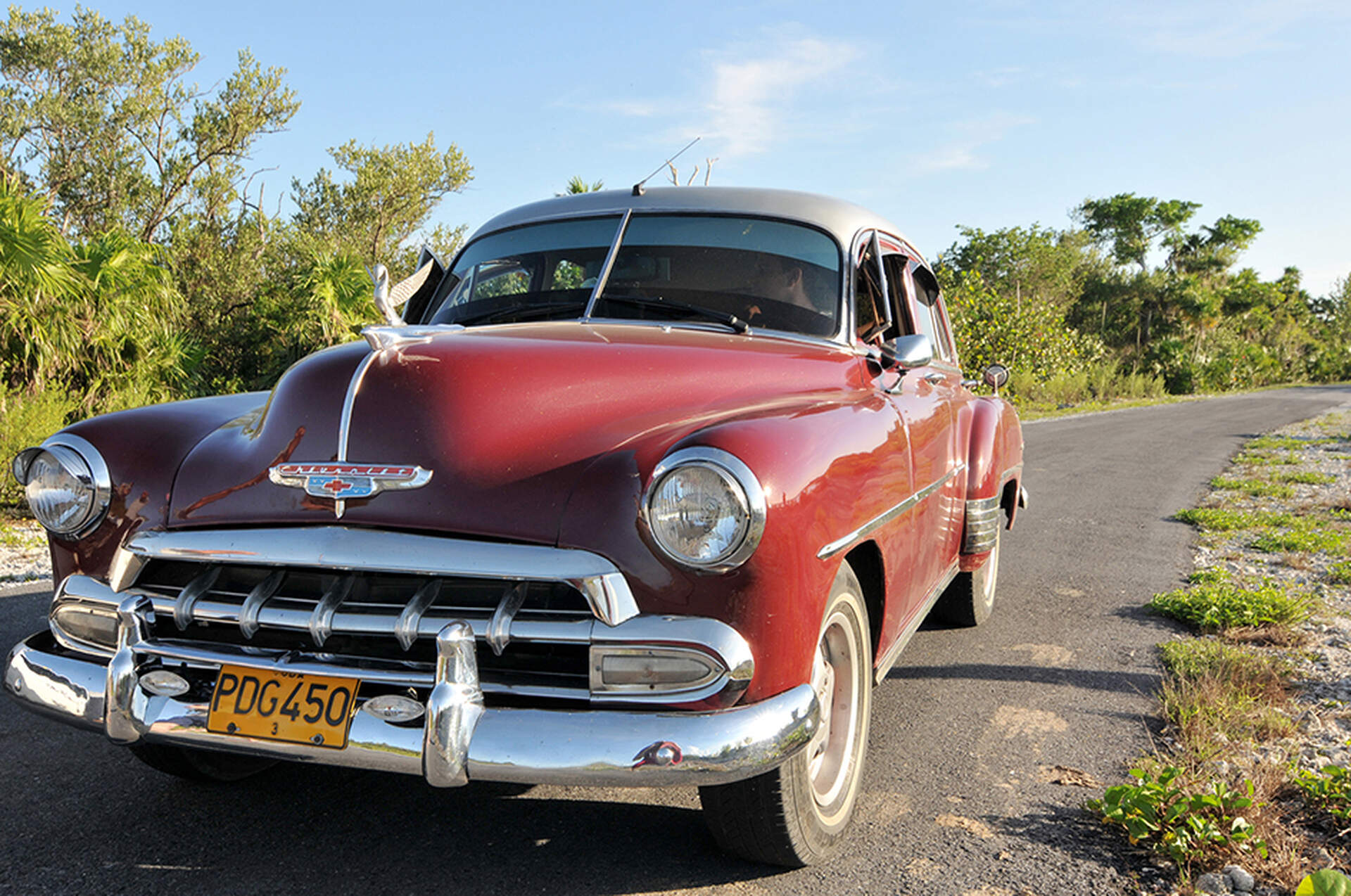 Cuba (Live-Reportage) - Szenenbild 4 von 5
