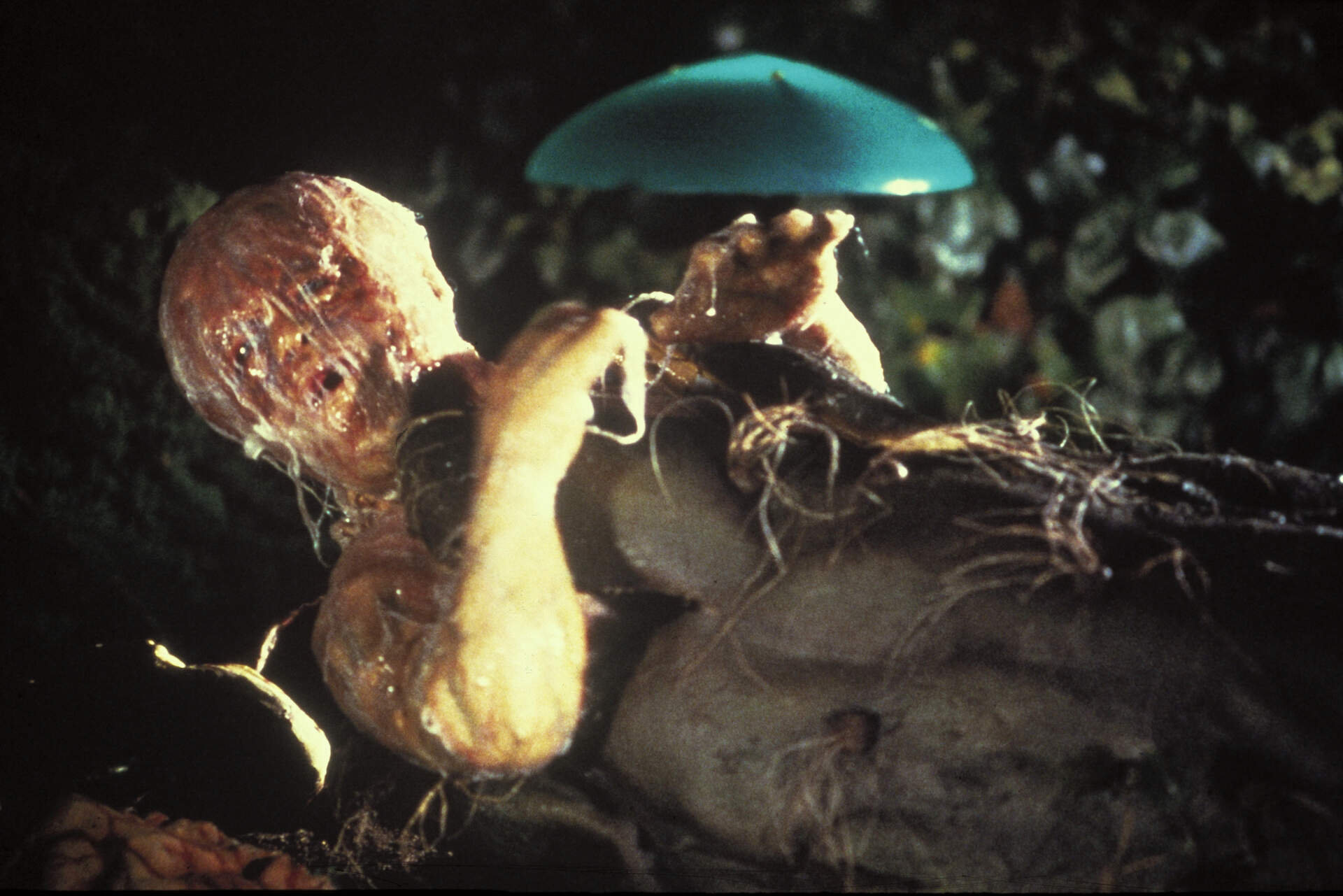 Die Körperfresser kommen - Szenenbild 7 von 14