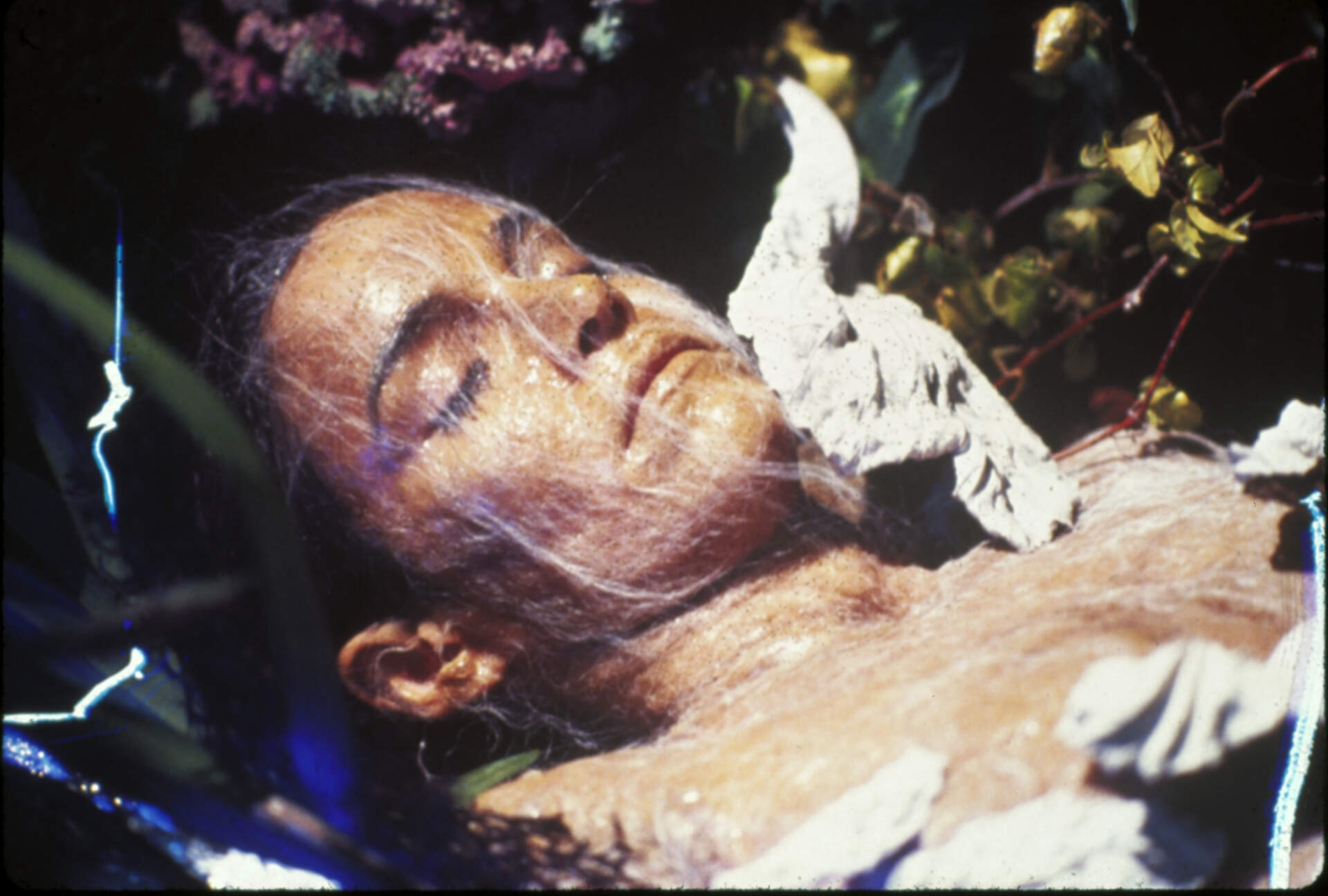 Die Körperfresser kommen - Szenenbild 8 von 14