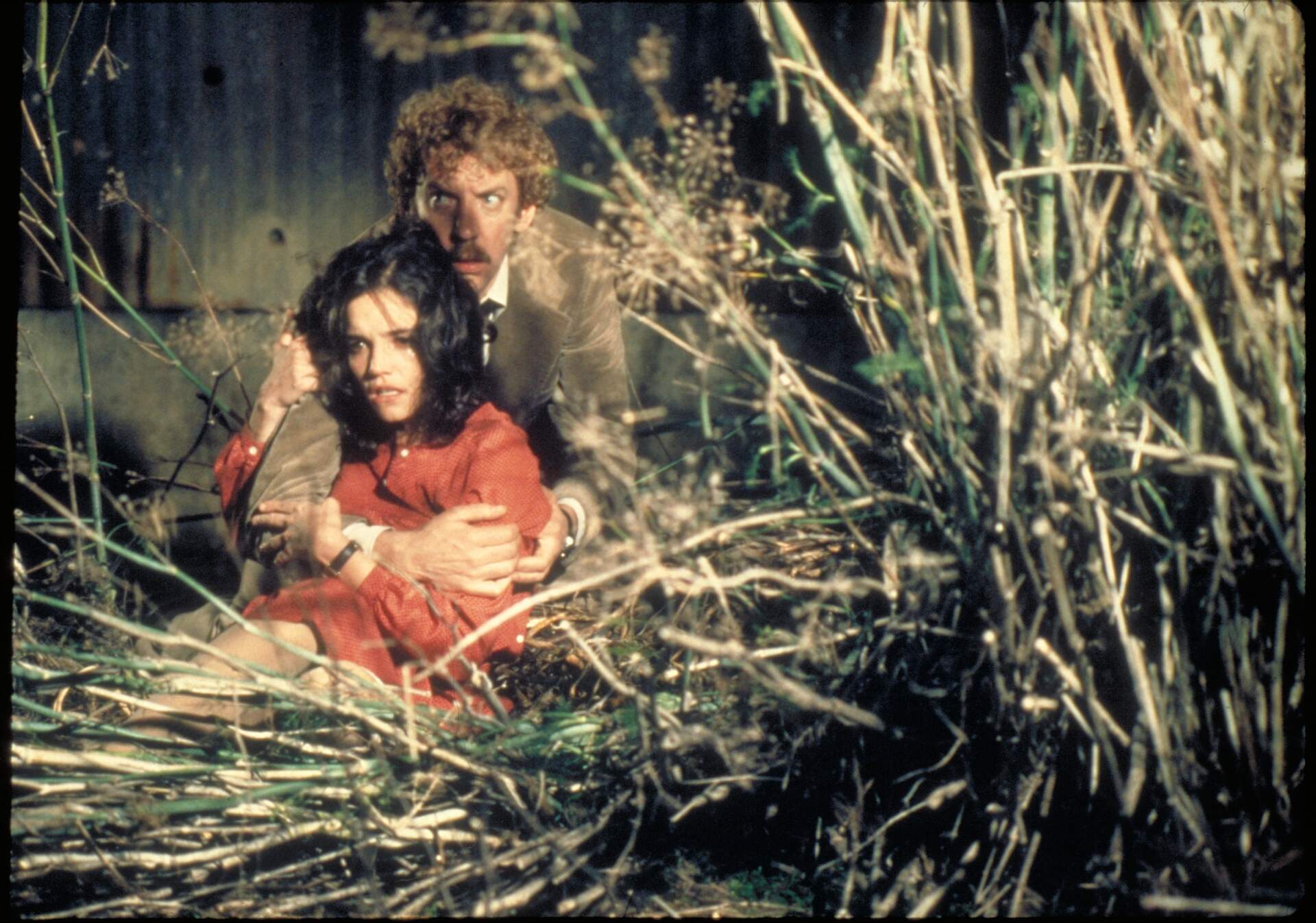 Die Körperfresser kommen - Szenenbild 12 von 14