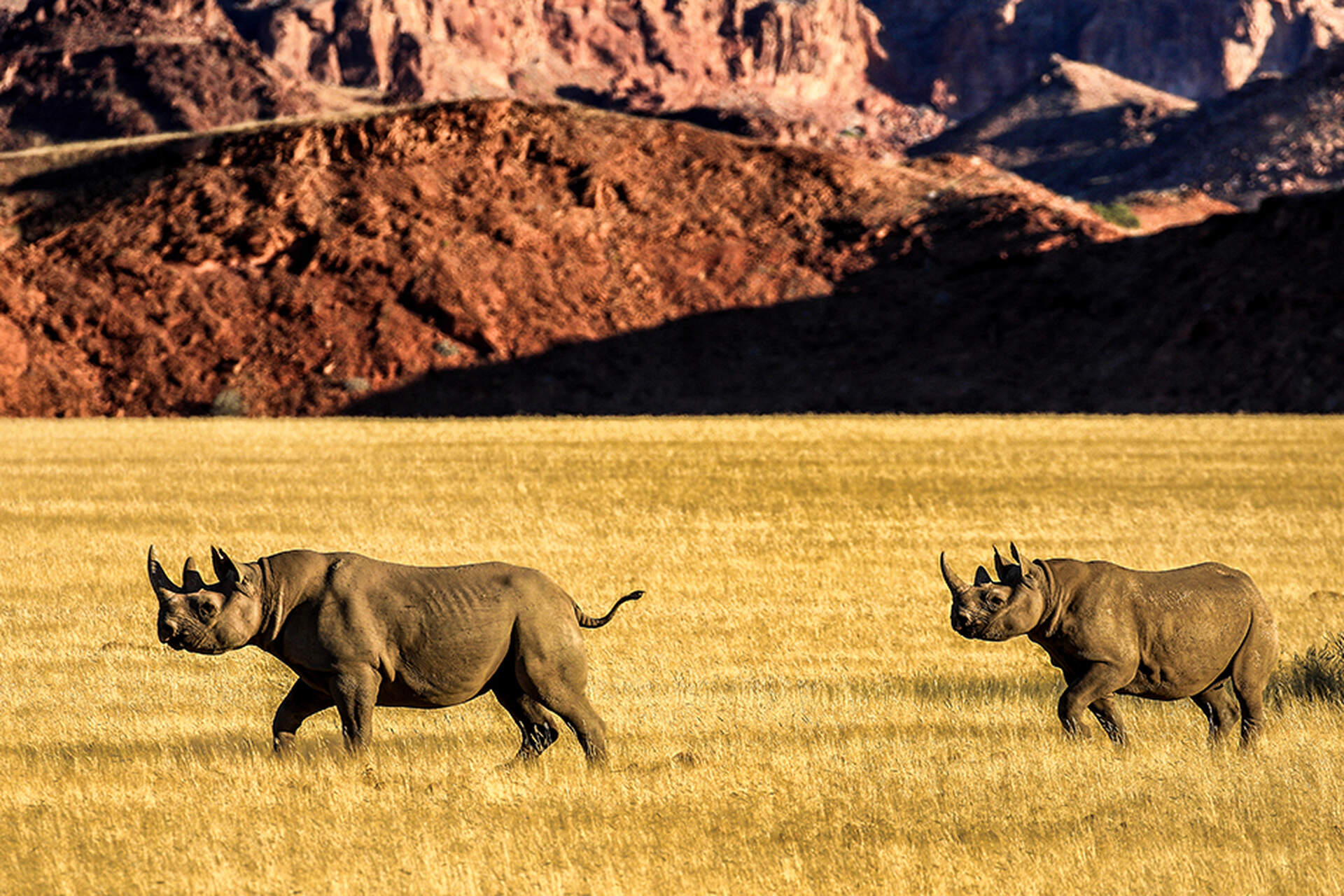 Namibia (Live-Reportage) - Szenenbild 5 von 5