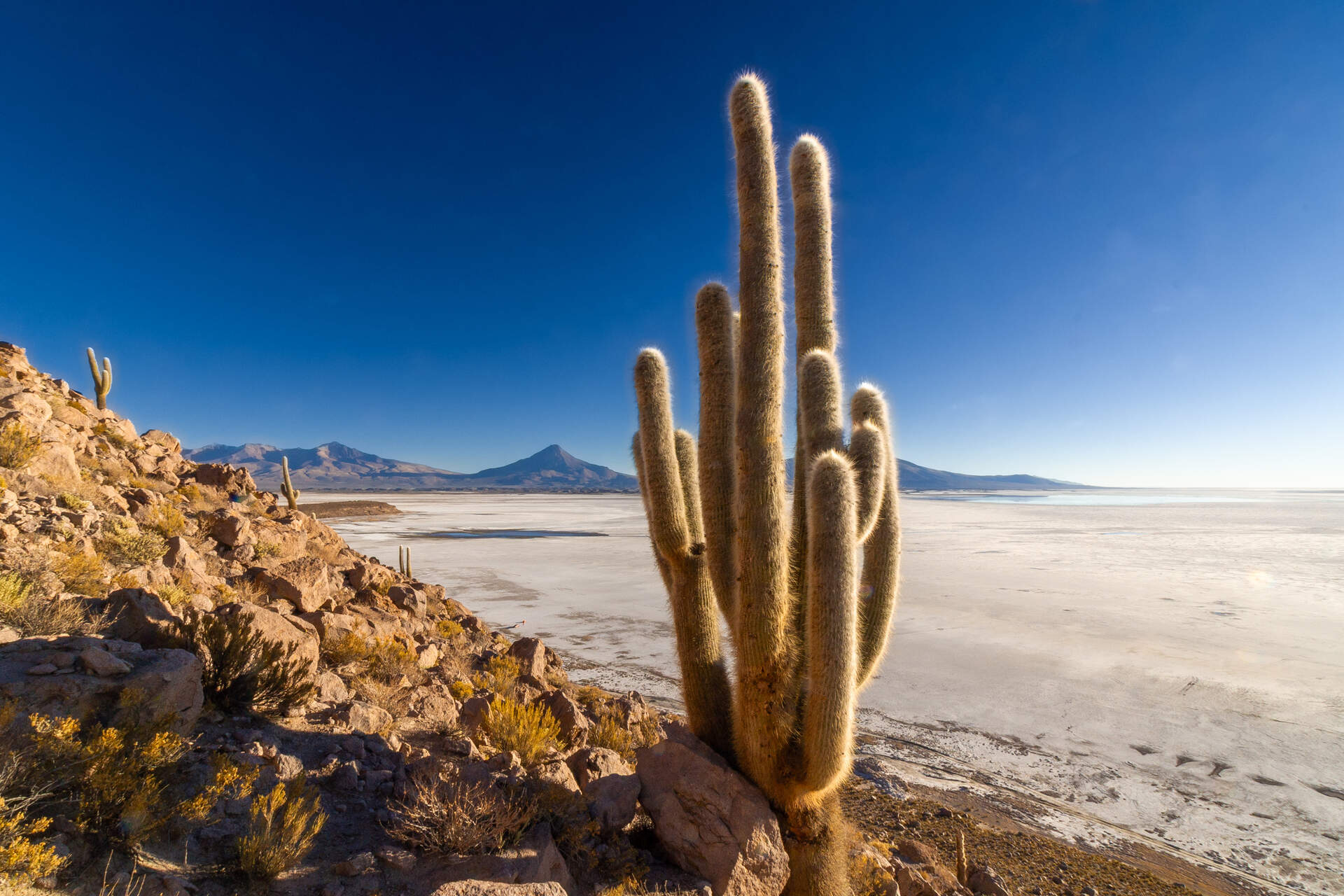 Chile (Live-Reportage) - Szenenbild 1 von 5