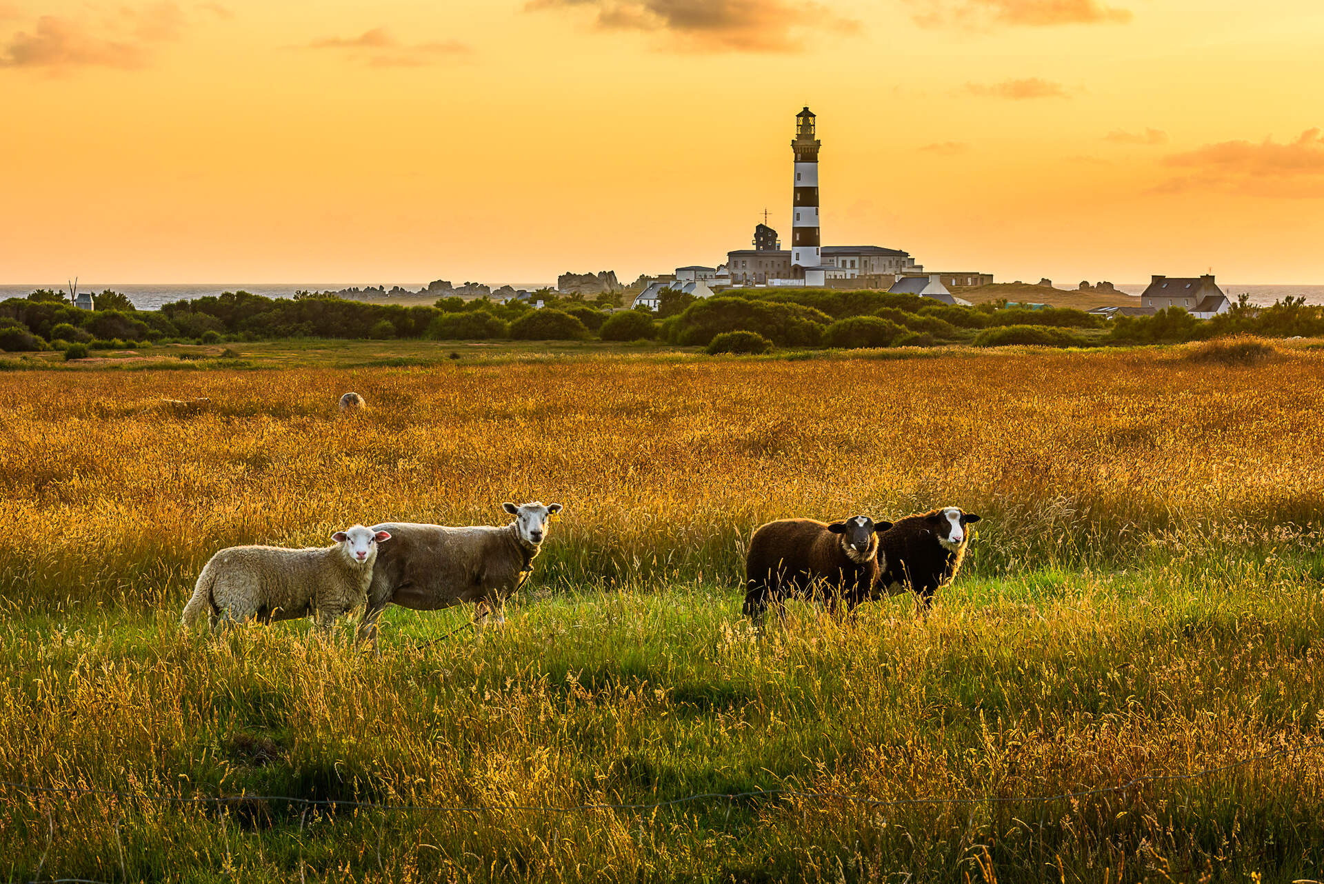 Bretagne (Live-Reportage) - Szenenbild 1 von 5