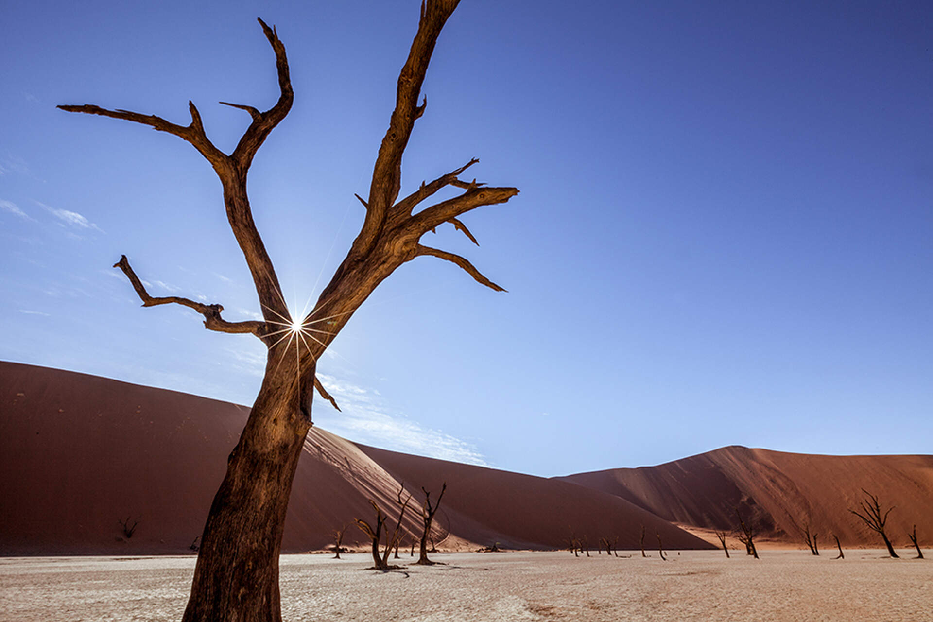 Namibia (Live-Reportage) - Szenenbild 2 von 5