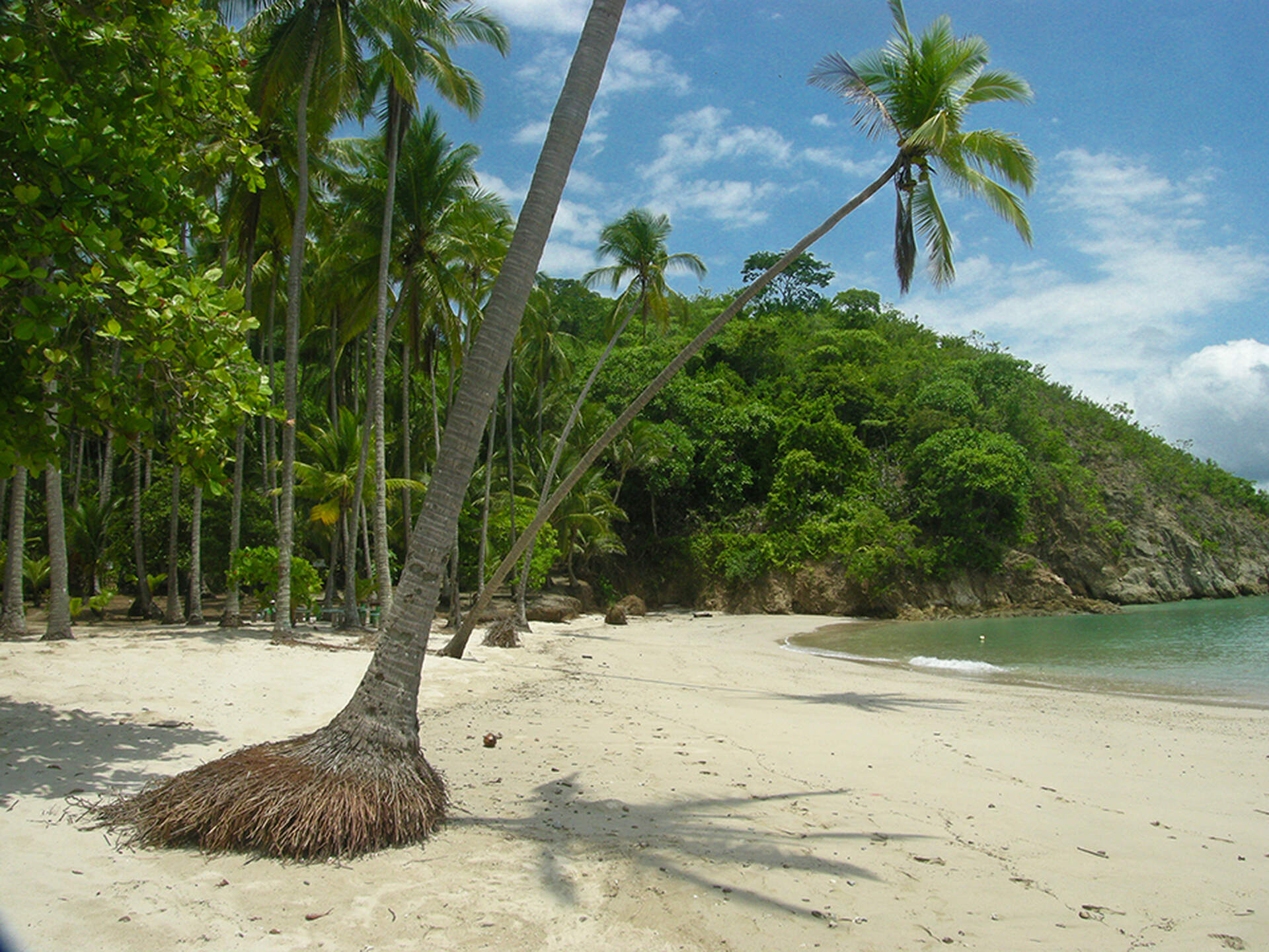 Costa Rica (Live-Reportage) - Szenenbild 3 von 5