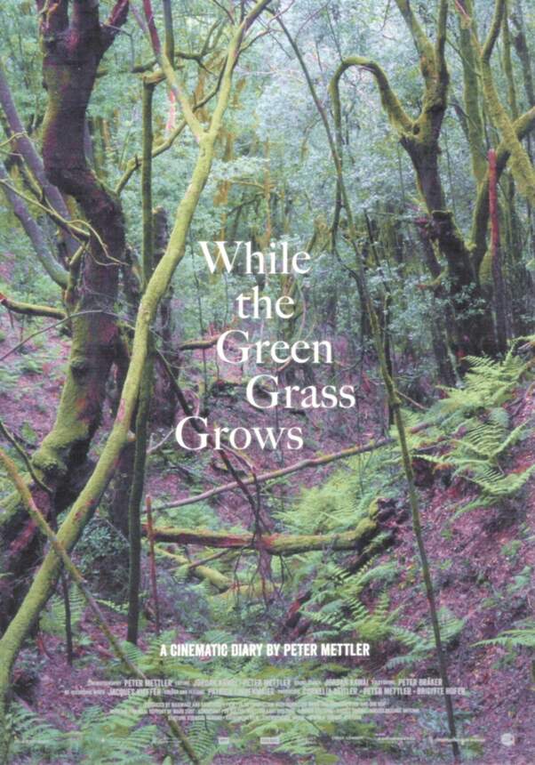 While the Green Grass Grows