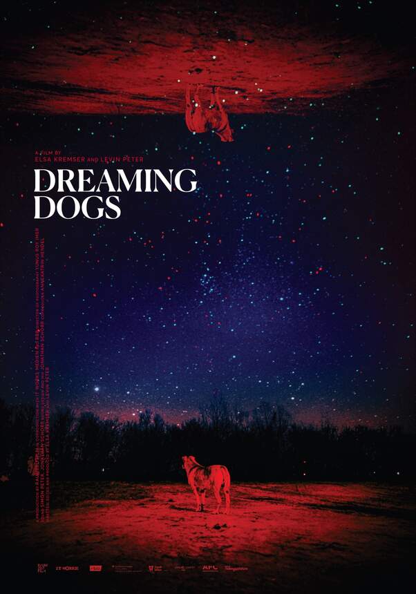 Dreaming Dogs (russ.)