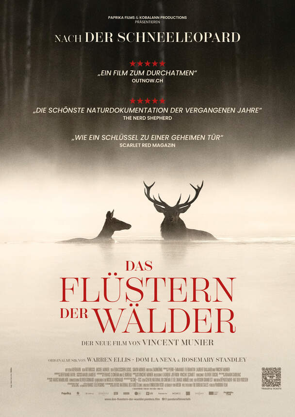 Das Flüstern der Wälder