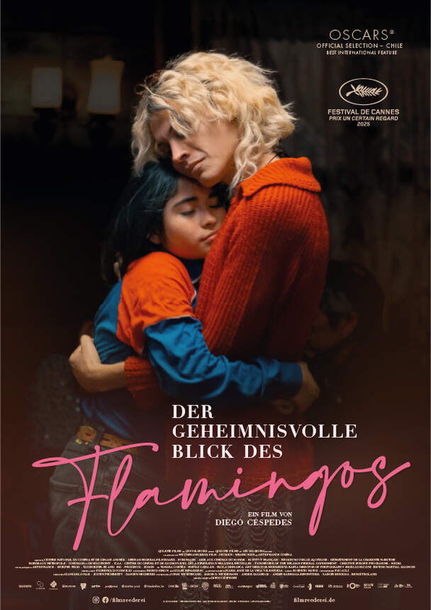 Der Geheimnisvolle Blick des Flamingos (span.)