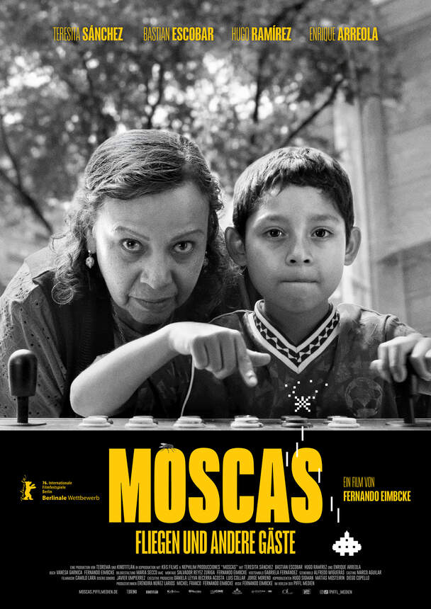 Moscas - Fliegen und andere Gäste