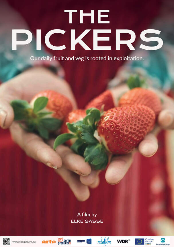 The Pickers (GLOBALE)