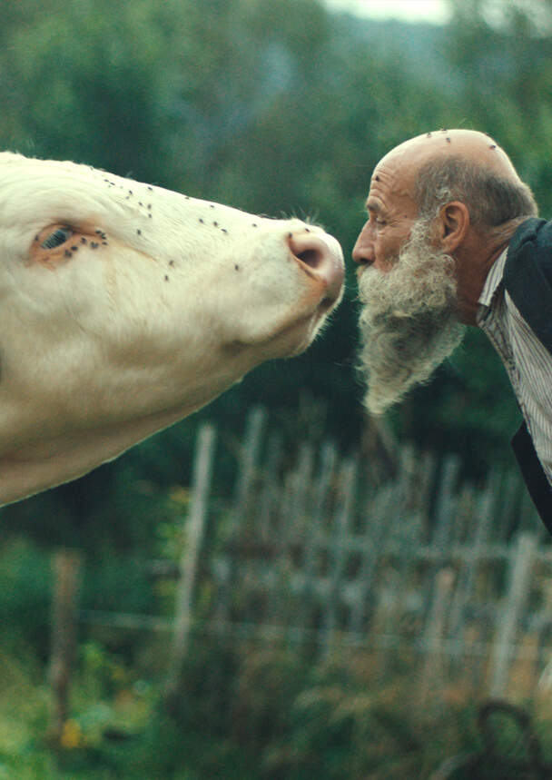 Better go mad in the Wild (tsche.)